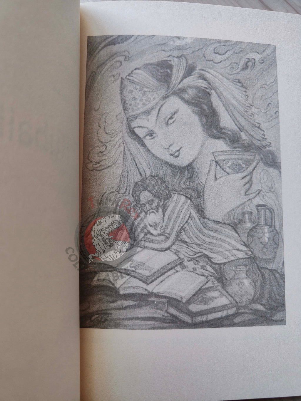 Rubaiyat of Omar Khayyam 2013 Illustrated Turkish Book Turkey