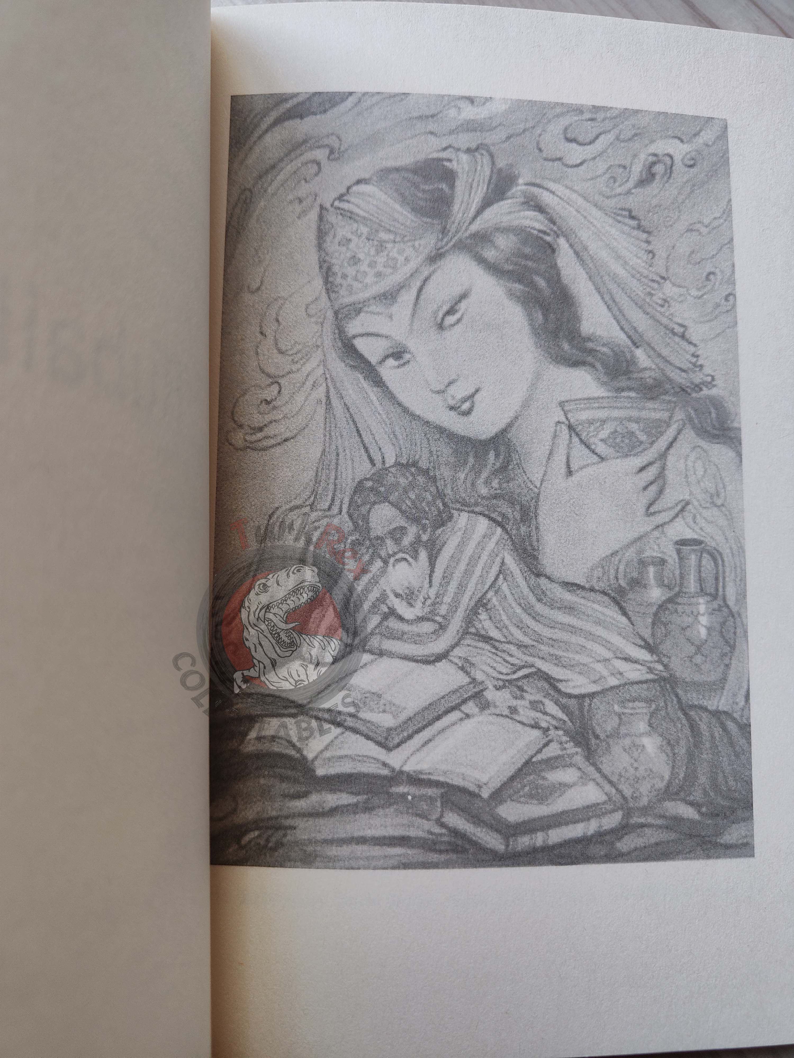 Rubaiyat of Omar Khayyam 2013 Illustrated Turkish Book Turkey