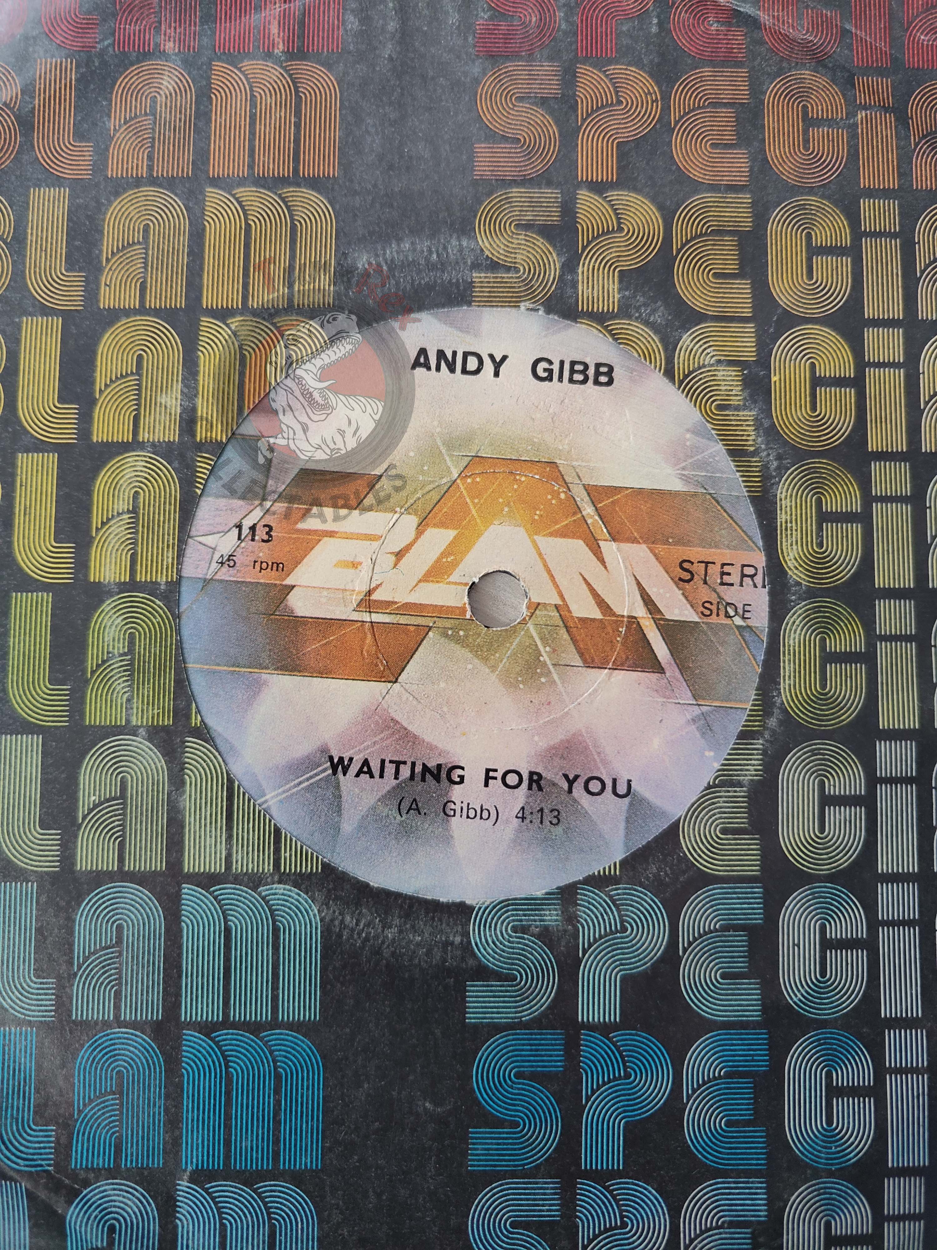 Andy Gibb – Desire 7" Turkish Pressing Vinyl Turkey Edition Bee Gees