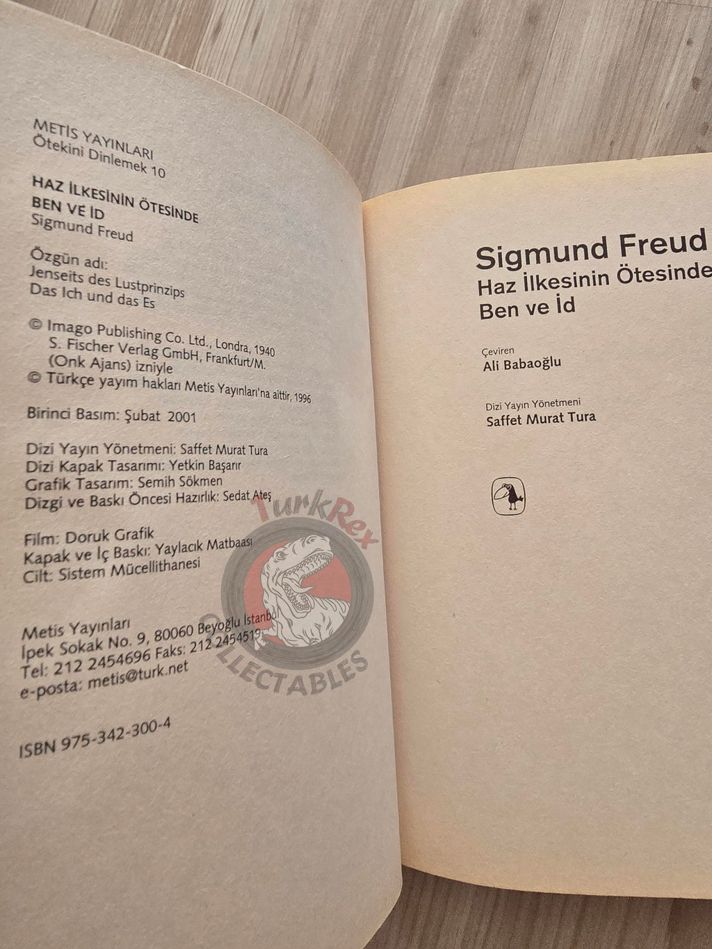 Sigmund Freud – Beyond the Pleasure Principle 2001 Turkish Book Turkey