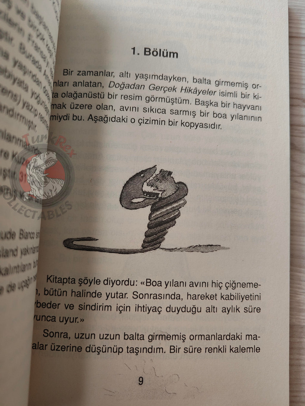 Antoine de Saint-Exupéry – Le Petit Prince 2014 Turkish Book Turkey Illustrated Little