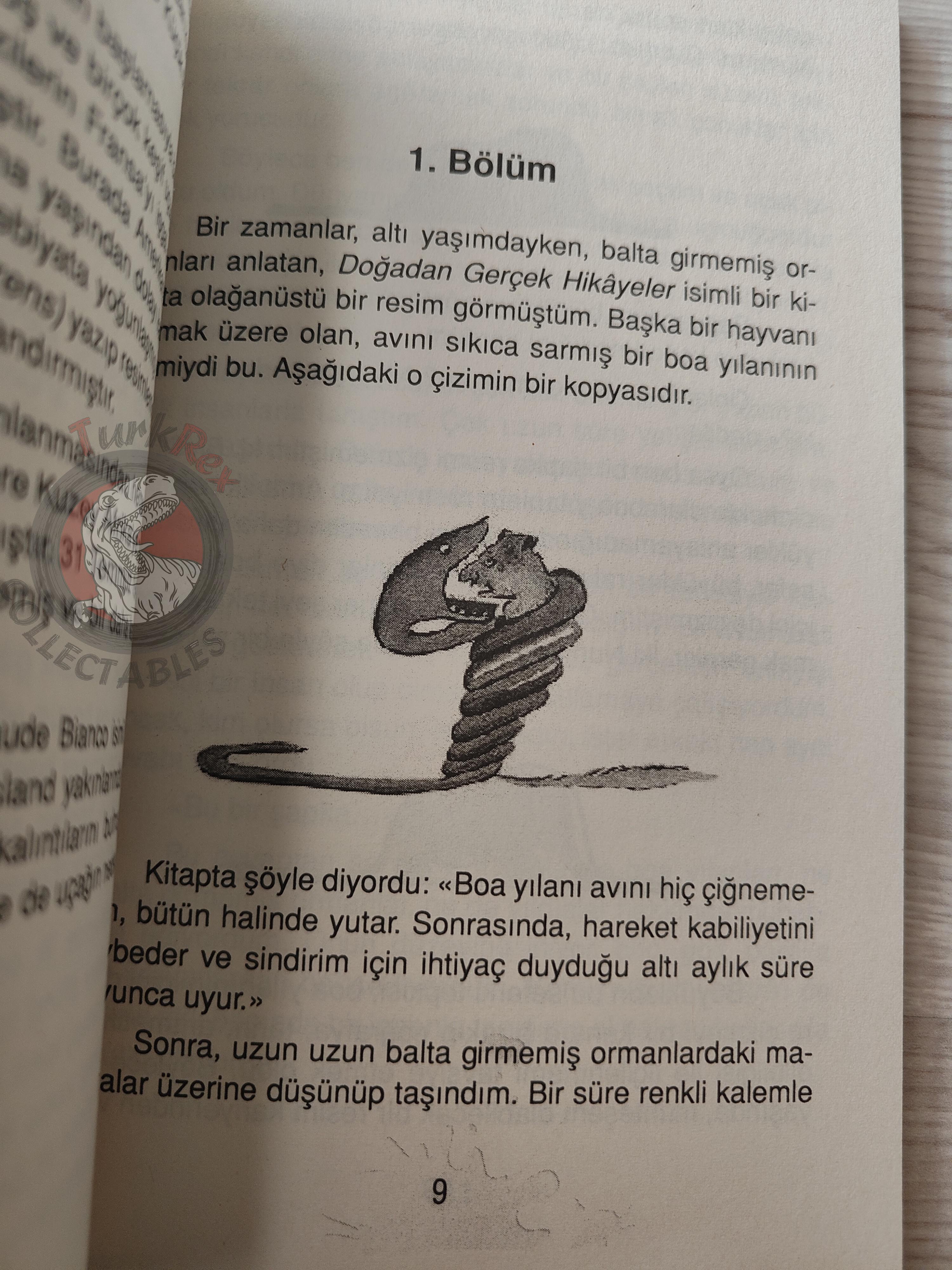 Antoine de Saint-Exupéry – Le Petit Prince 2014 Turkish Book Turkey Illustrated Little