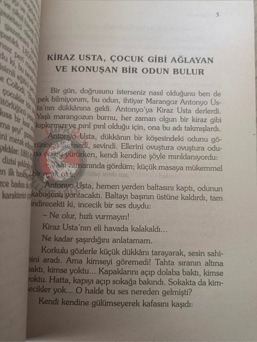 Carlo Collodi – Pinocchio 2005 Turkish Book Turkey Illustrated