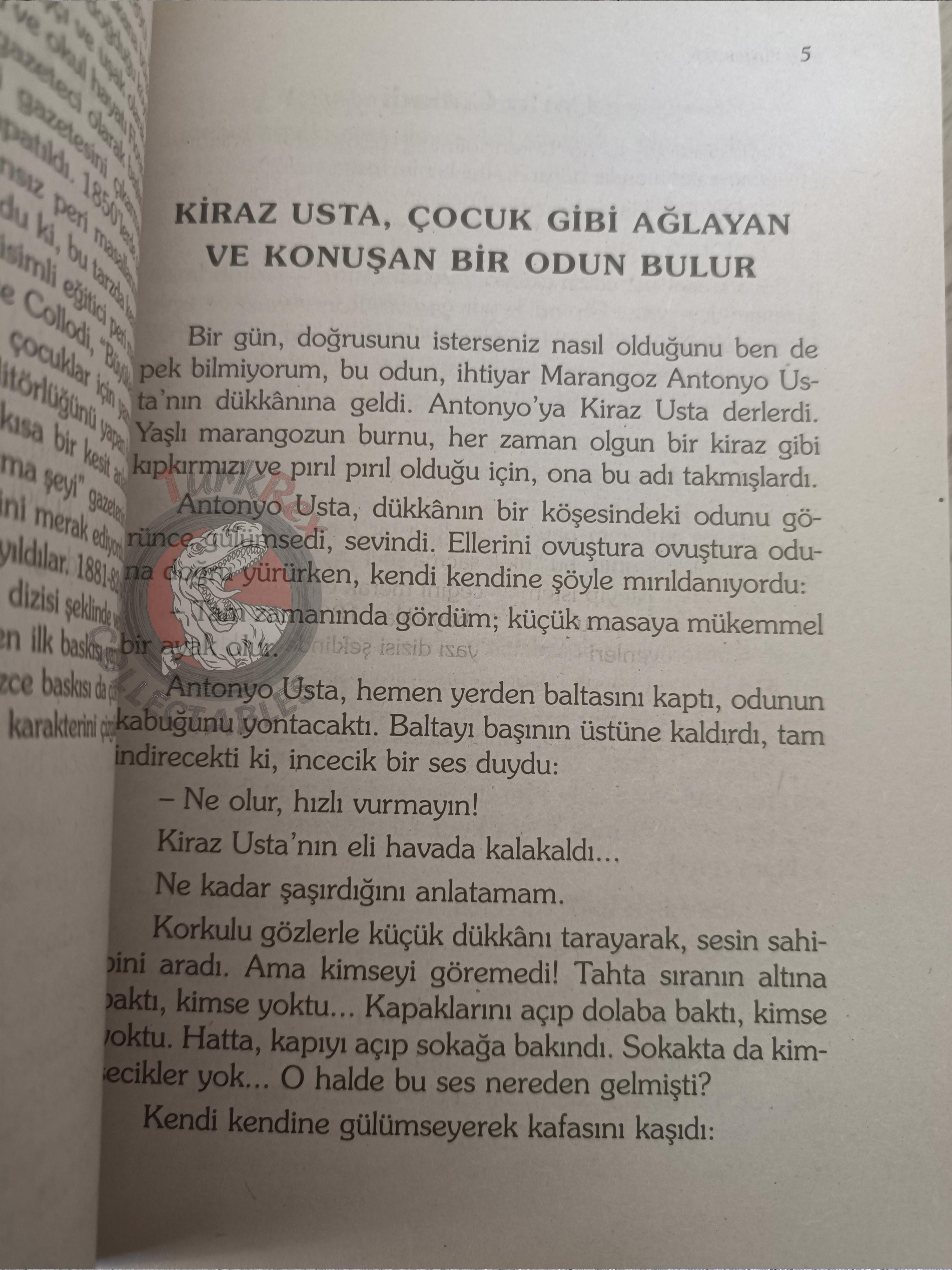 Carlo Collodi – Pinocchio 2005 Turkish Book Turkey Illustrated