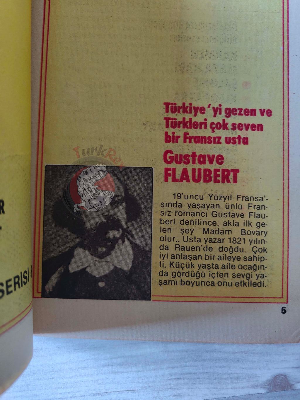Madame Bovary – Gustave Flaubert Turkish Comic Turkey Classics Illustrated