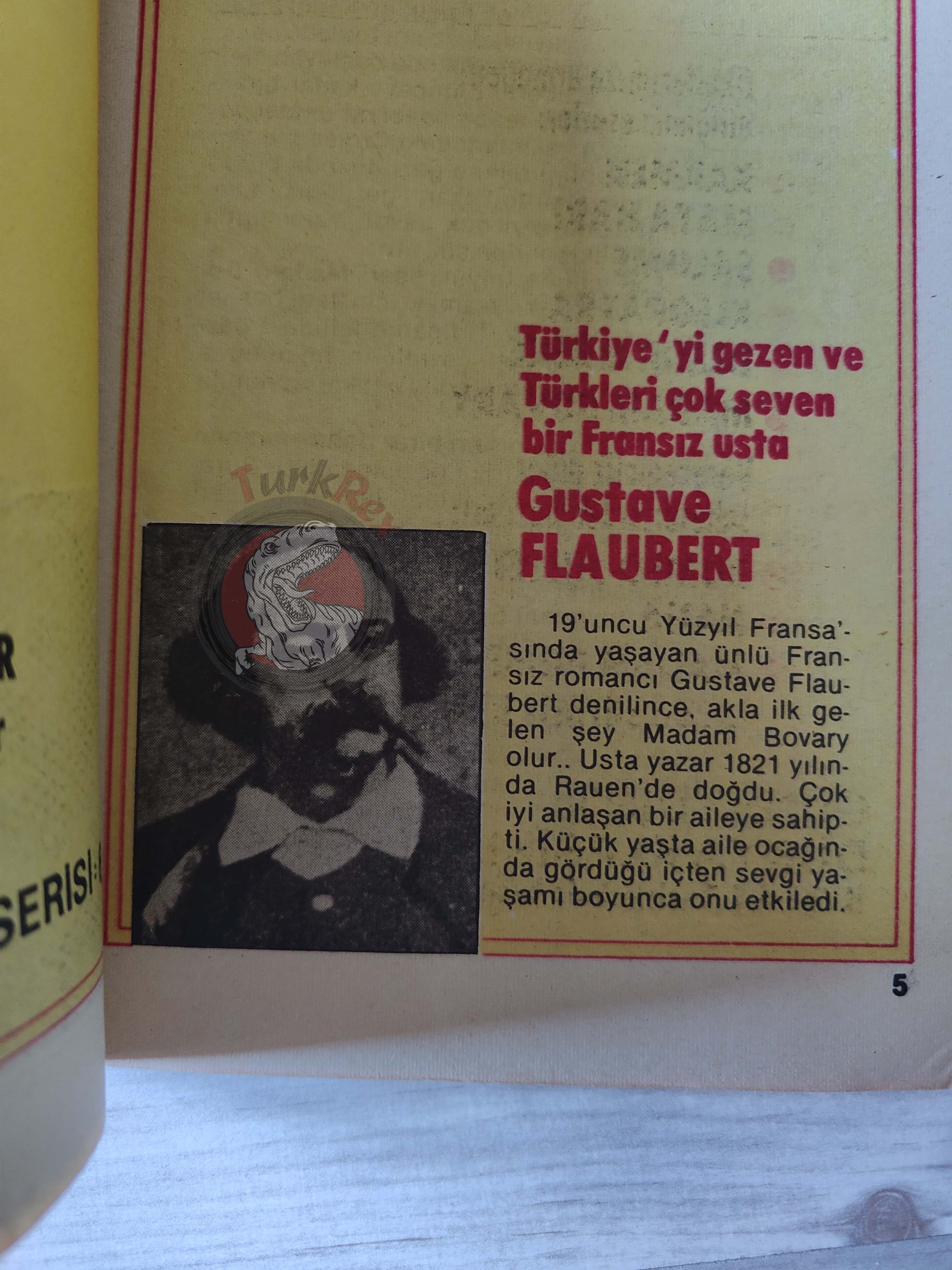 Madame Bovary – Gustave Flaubert Turkish Comic Turkey Classics Illustrated