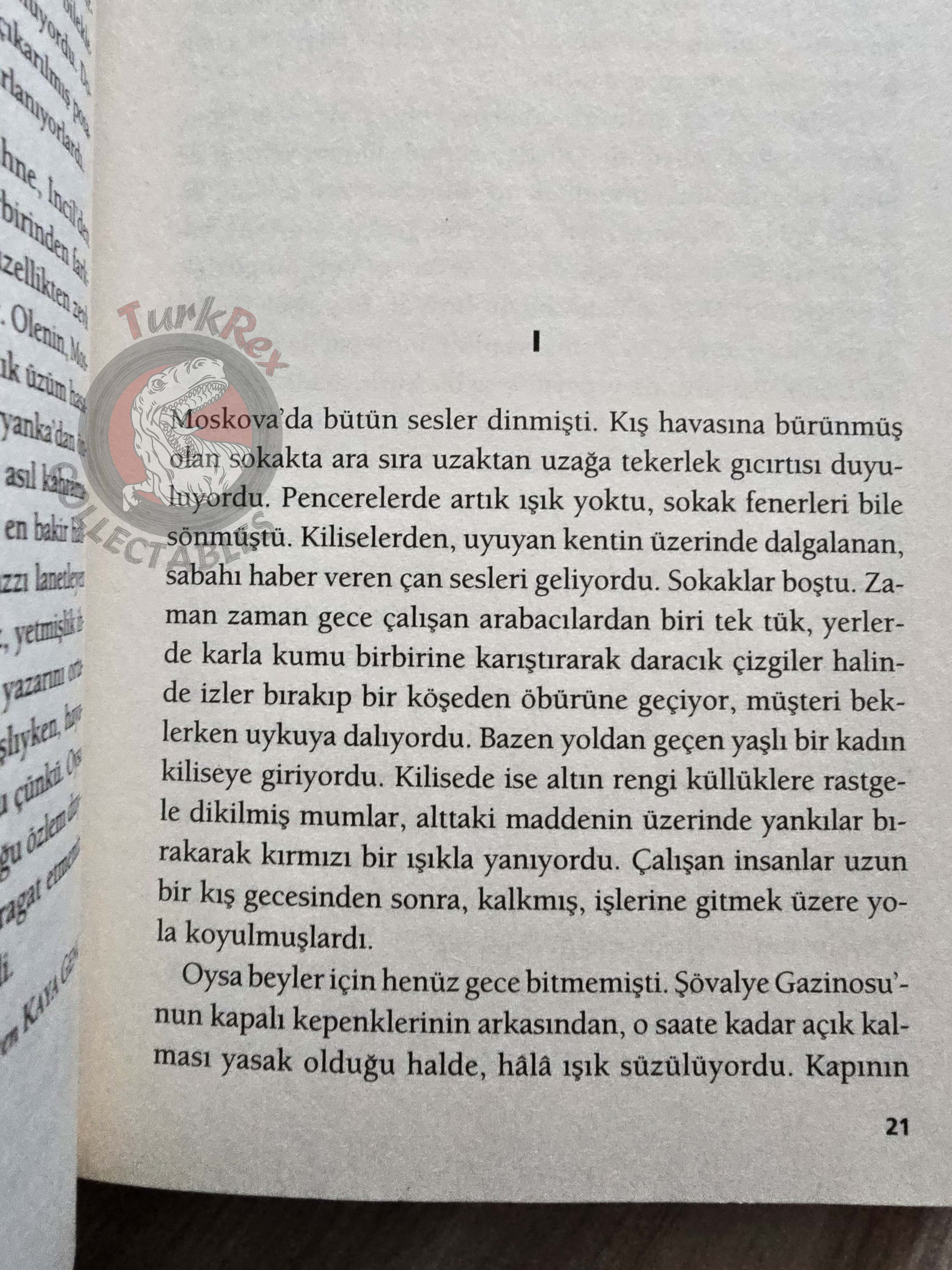 Leo Tolstoy –  The Cossacks 2009 Turkish Book Turkey