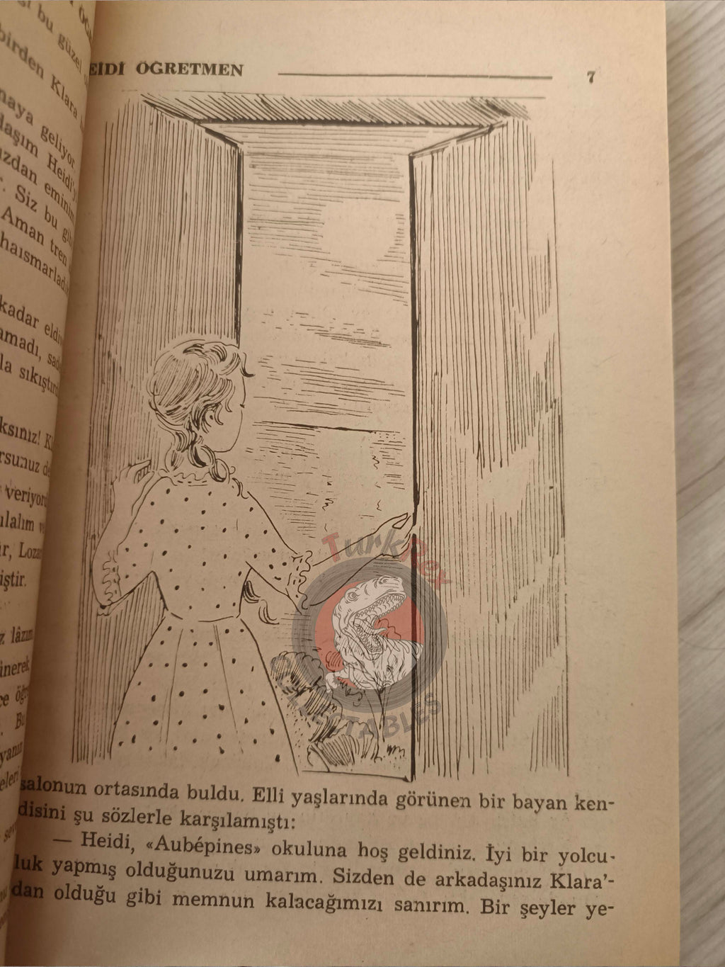 Johanna Spyri – Heidi Grows Up 1966 Turkish Book Turkey Illustrated