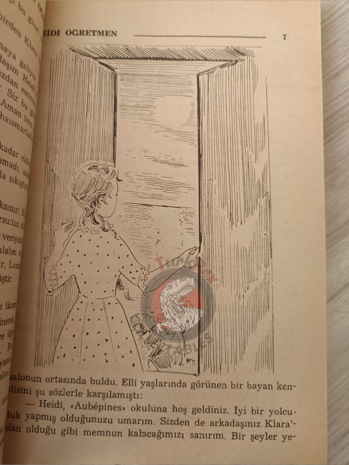 Johanna Spyri – Heidi Grows Up 1966 Turkish Book Turkey Illustrated