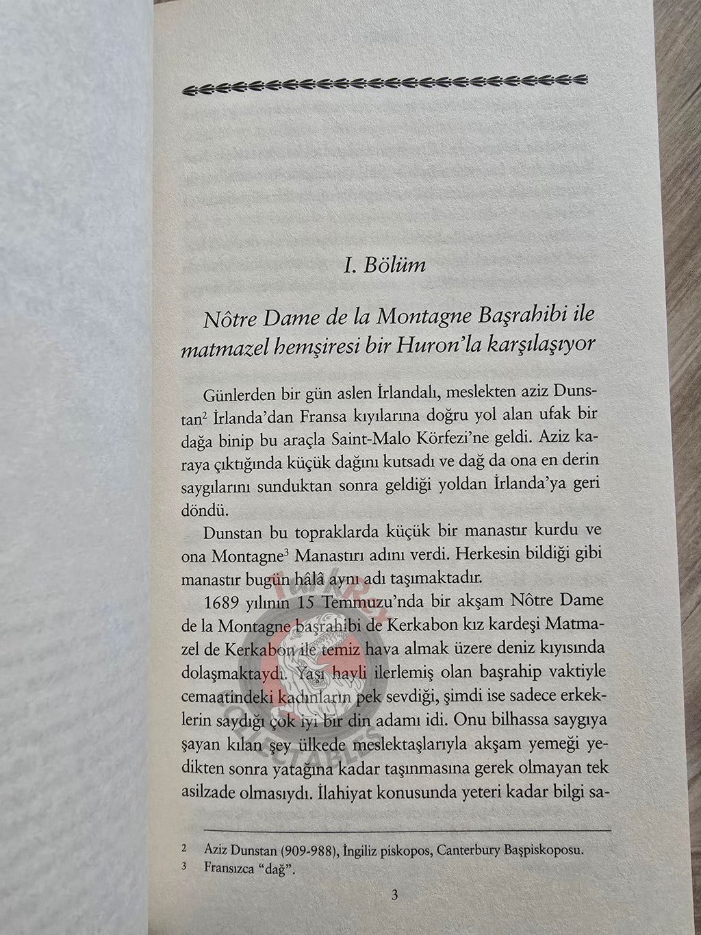 Voltaire – The Ingenu 2020 Turkish Book Turkey