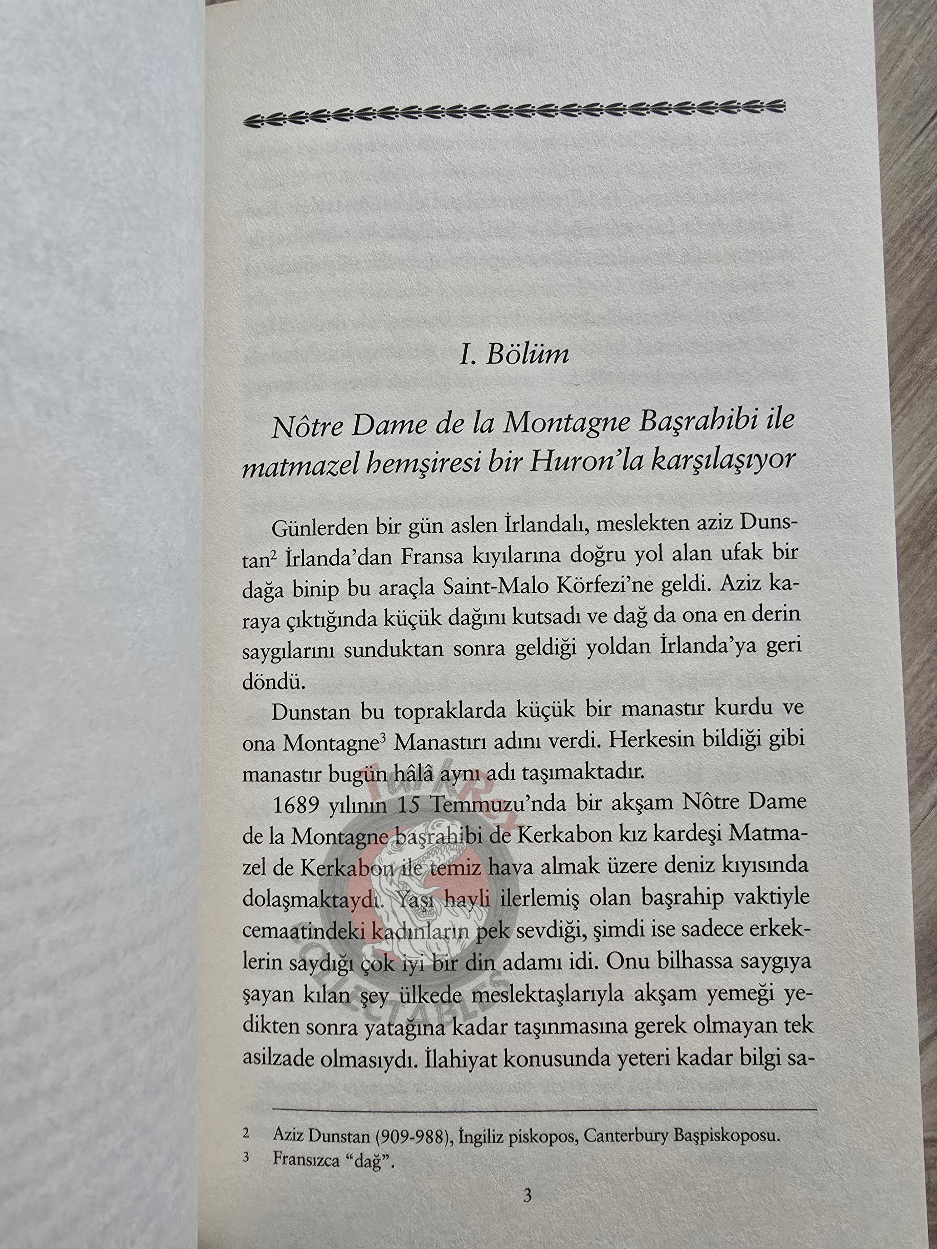 Voltaire – The Ingenu 2020 Turkish Book Turkey