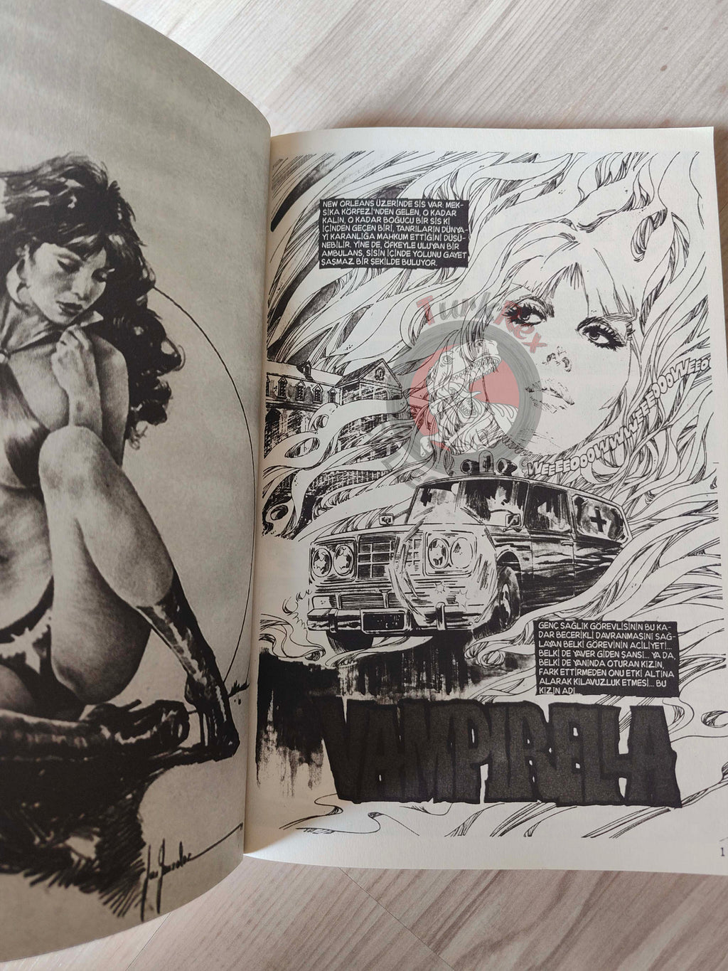 Vampirella Crimson Chronicles #3 2010 Turkish Comic Turkey Enrich