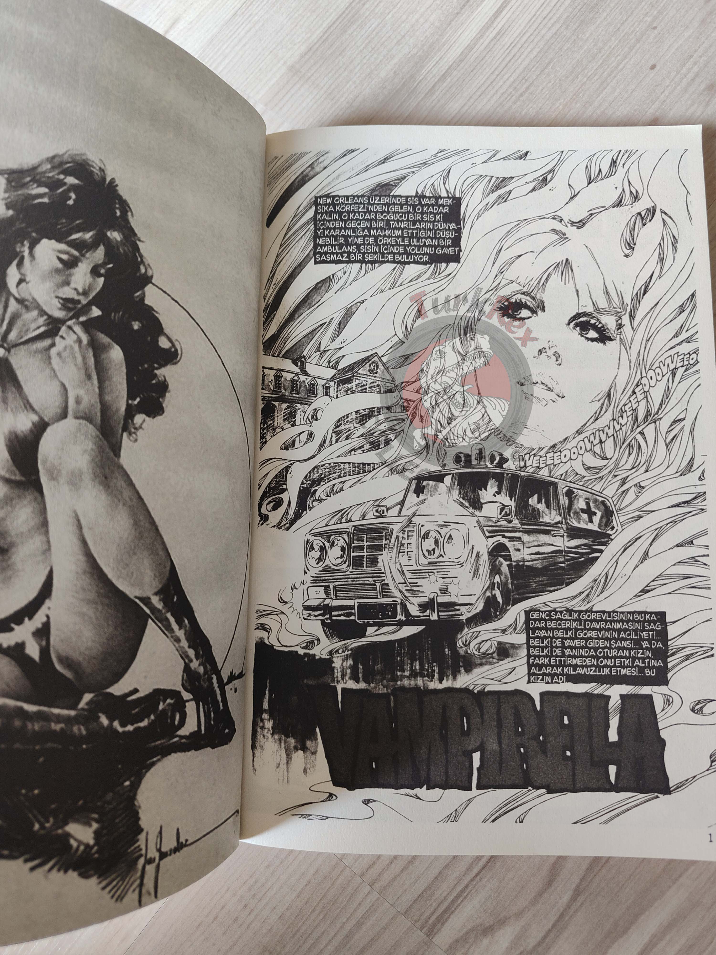 Vampirella Crimson Chronicles #3 2010 Turkish Comic Turkey Enrich