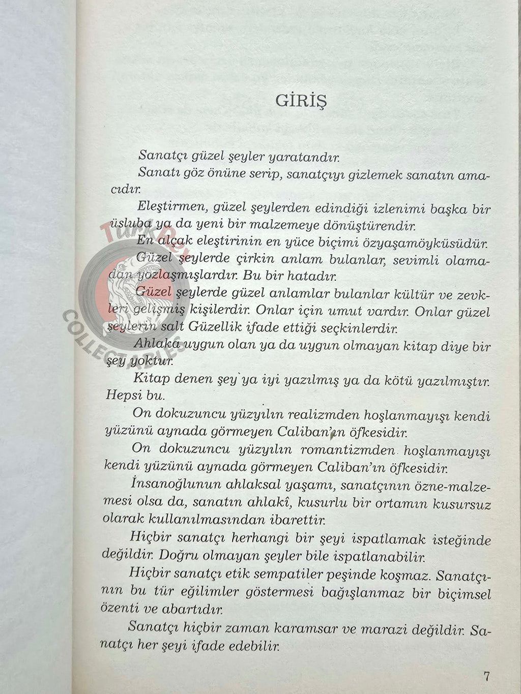 Oscar Wilde – The Picture of Dorian Gray 2006 Turkish Book Turkey