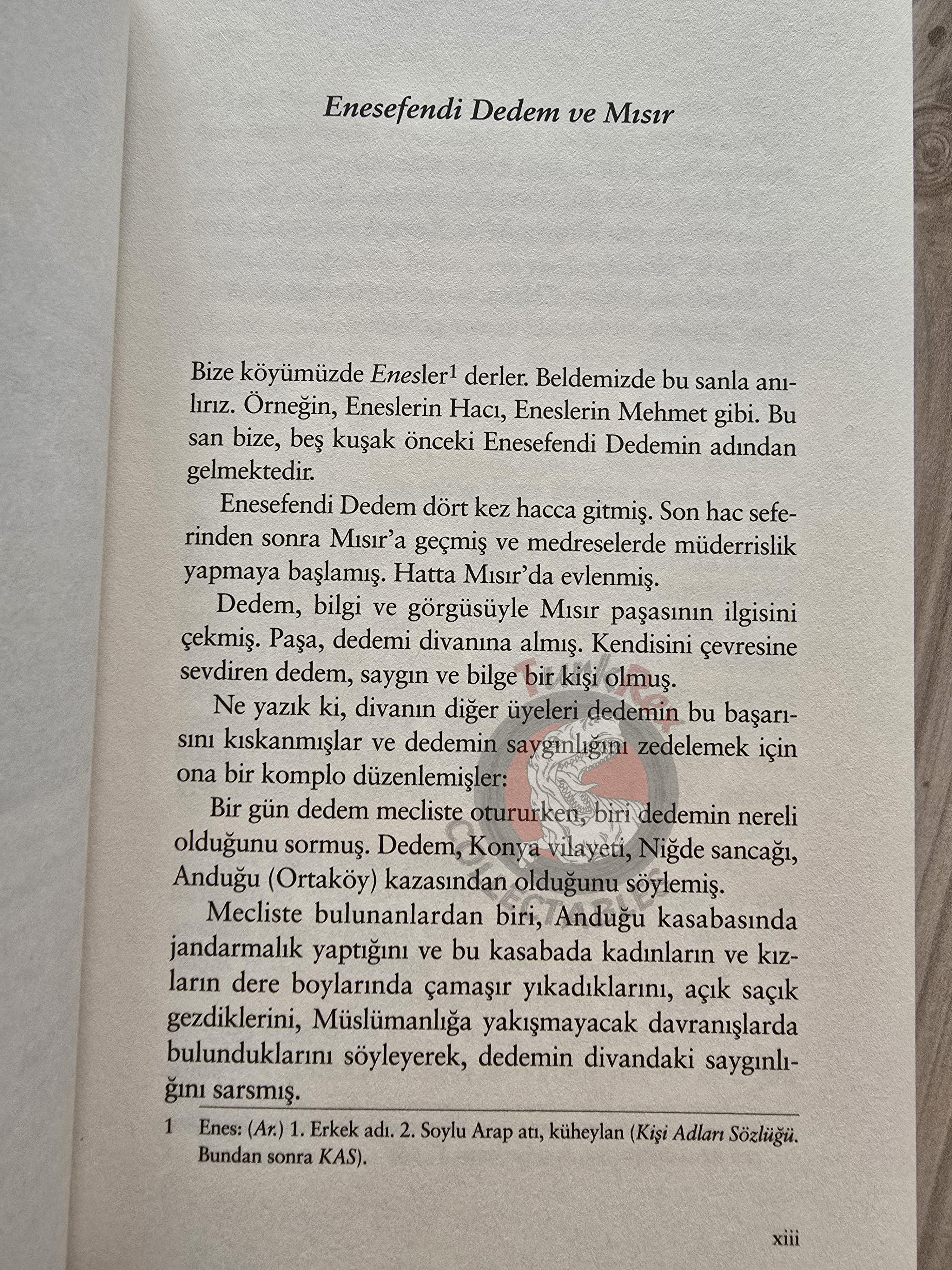 Hacı Angı – Memoirs of a Village Institute Graduate 2019 Turkish Book Turkey