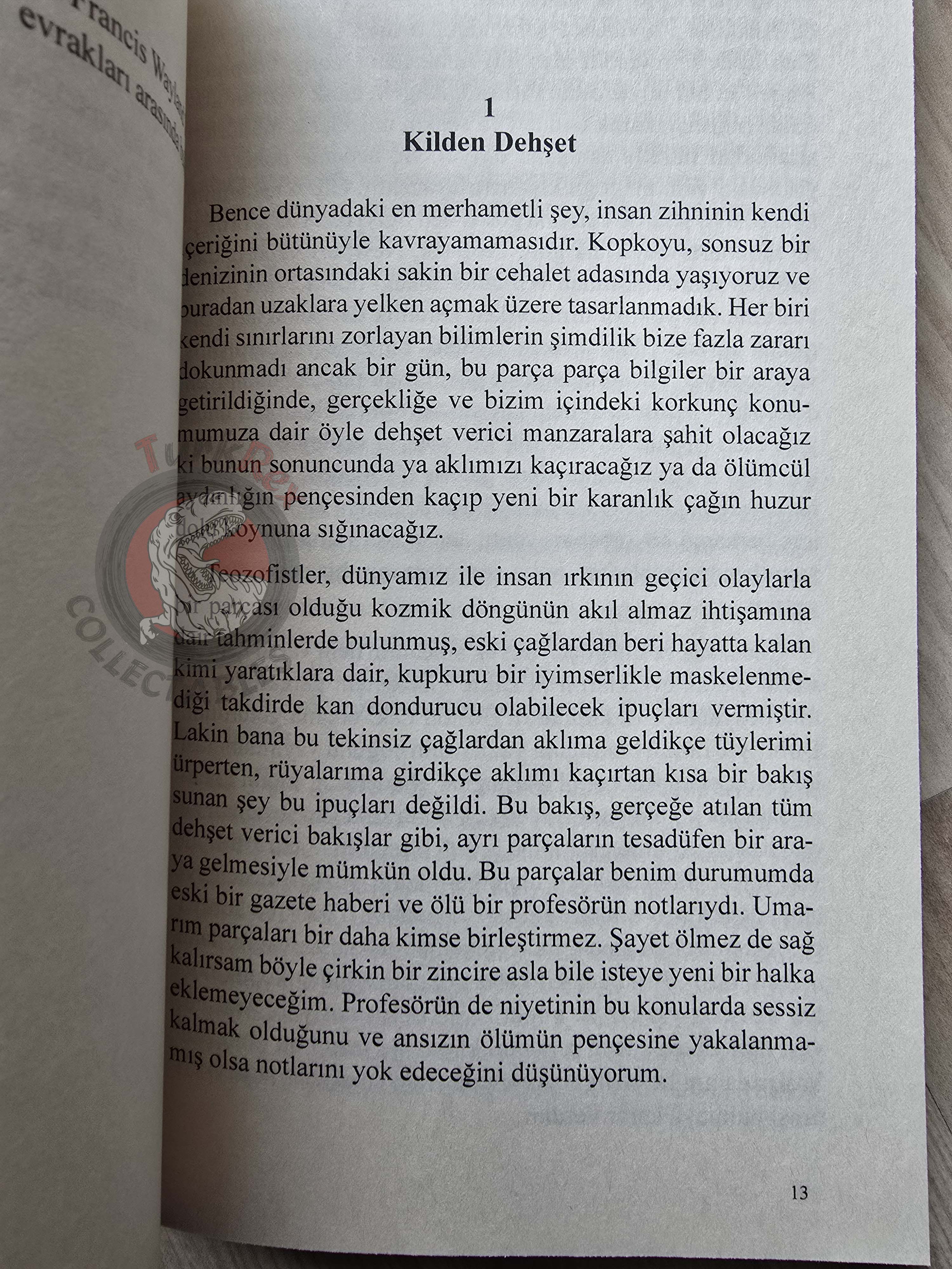 H. P. Lovecraft – The Call of Cthulhu 2022 Turkish Book Turkey