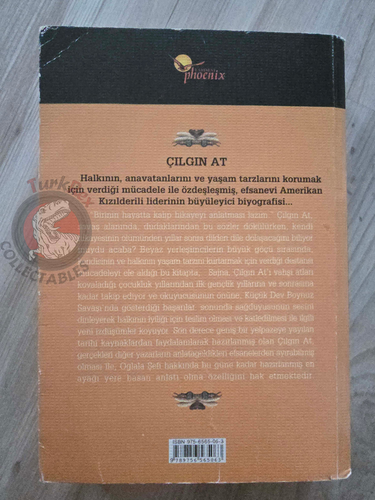 Mike Sajna – Crazy Horse 2001 1st Turkish Book Turkey