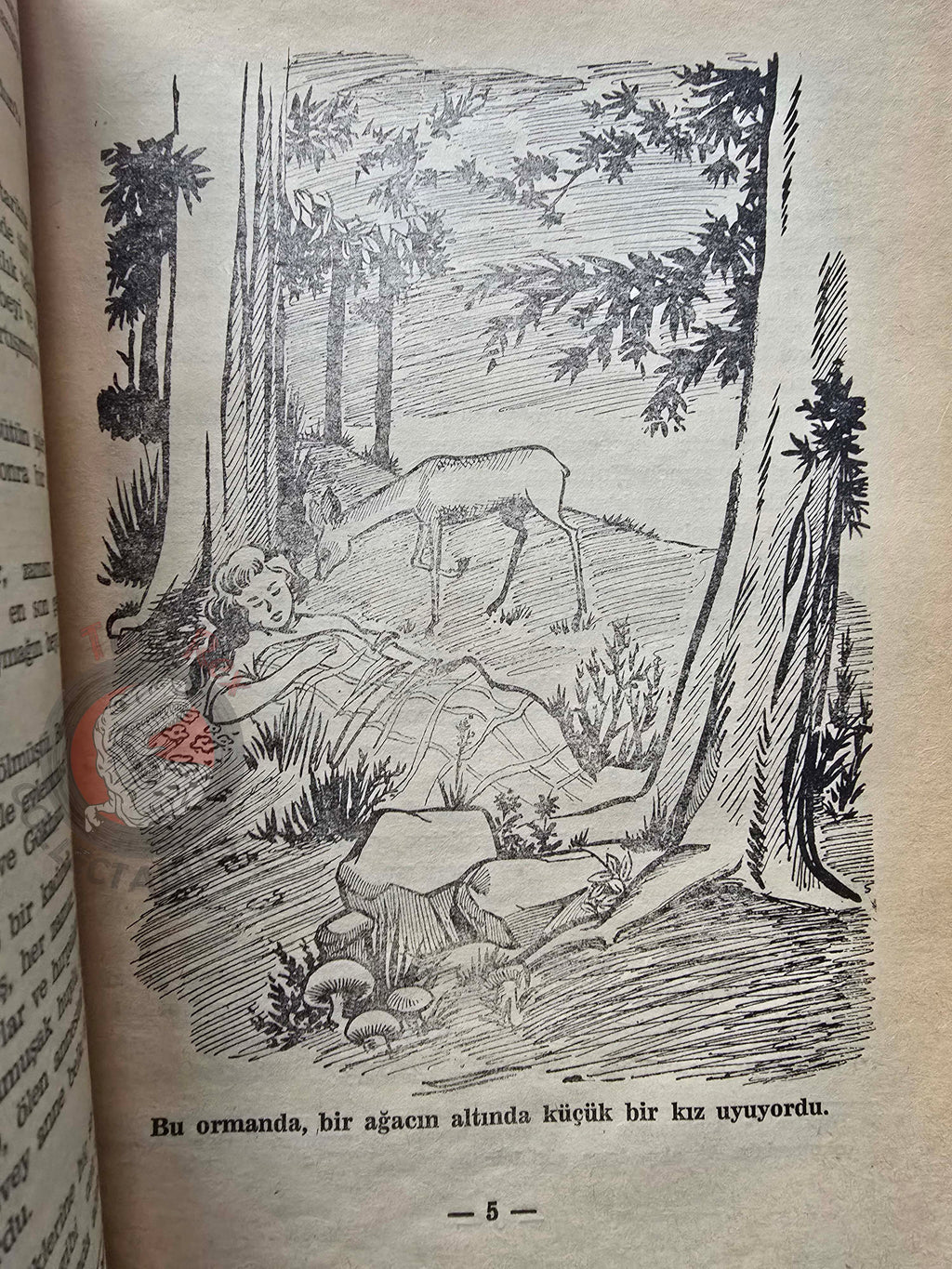 Saadet Uğurer – Kingdom of Cats 1963 Turkish Book Turkey Illustrated