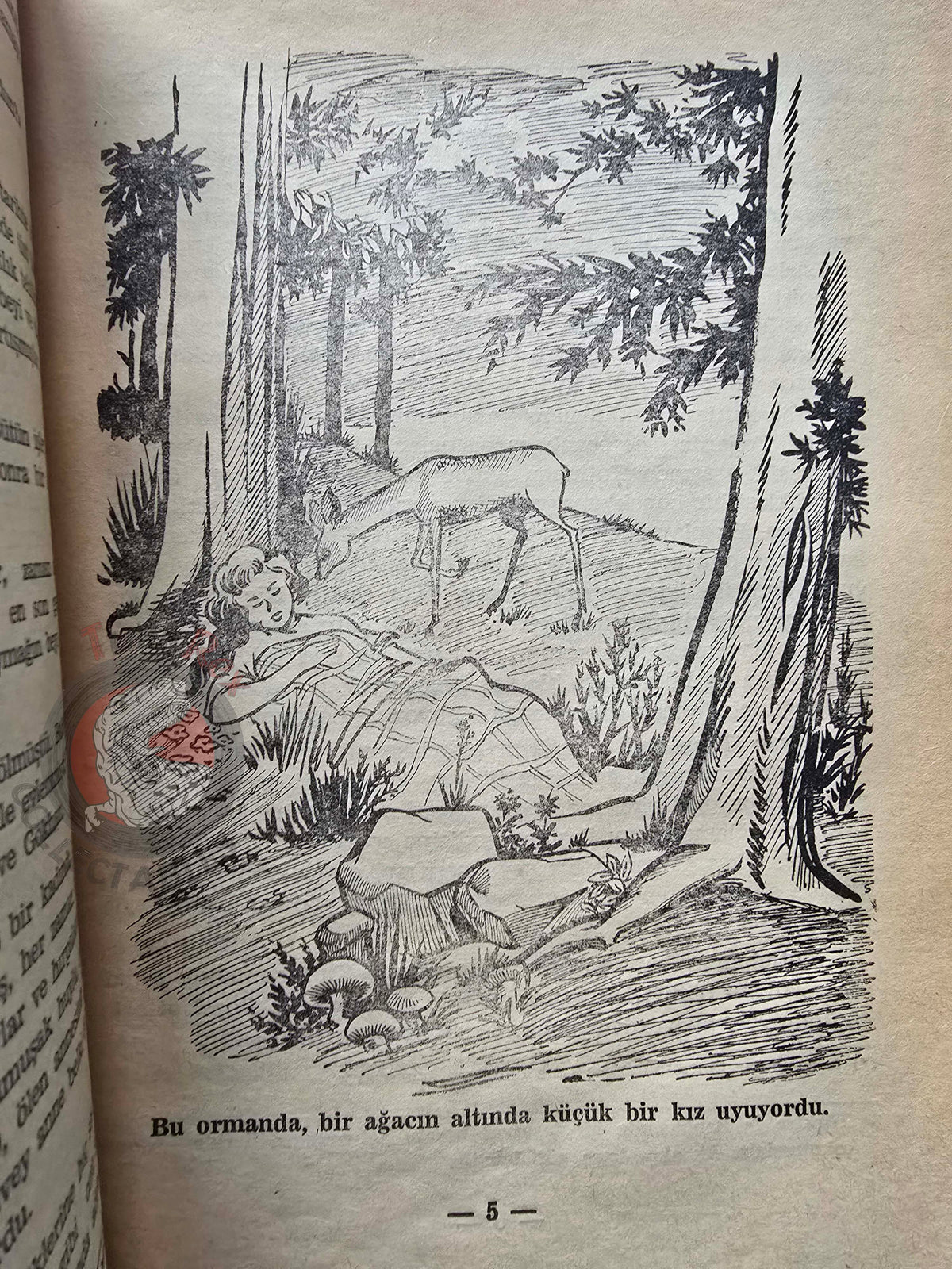 Saadet Uğurer – Kingdom of Cats 1963 Turkish Book Turkey Illustrated