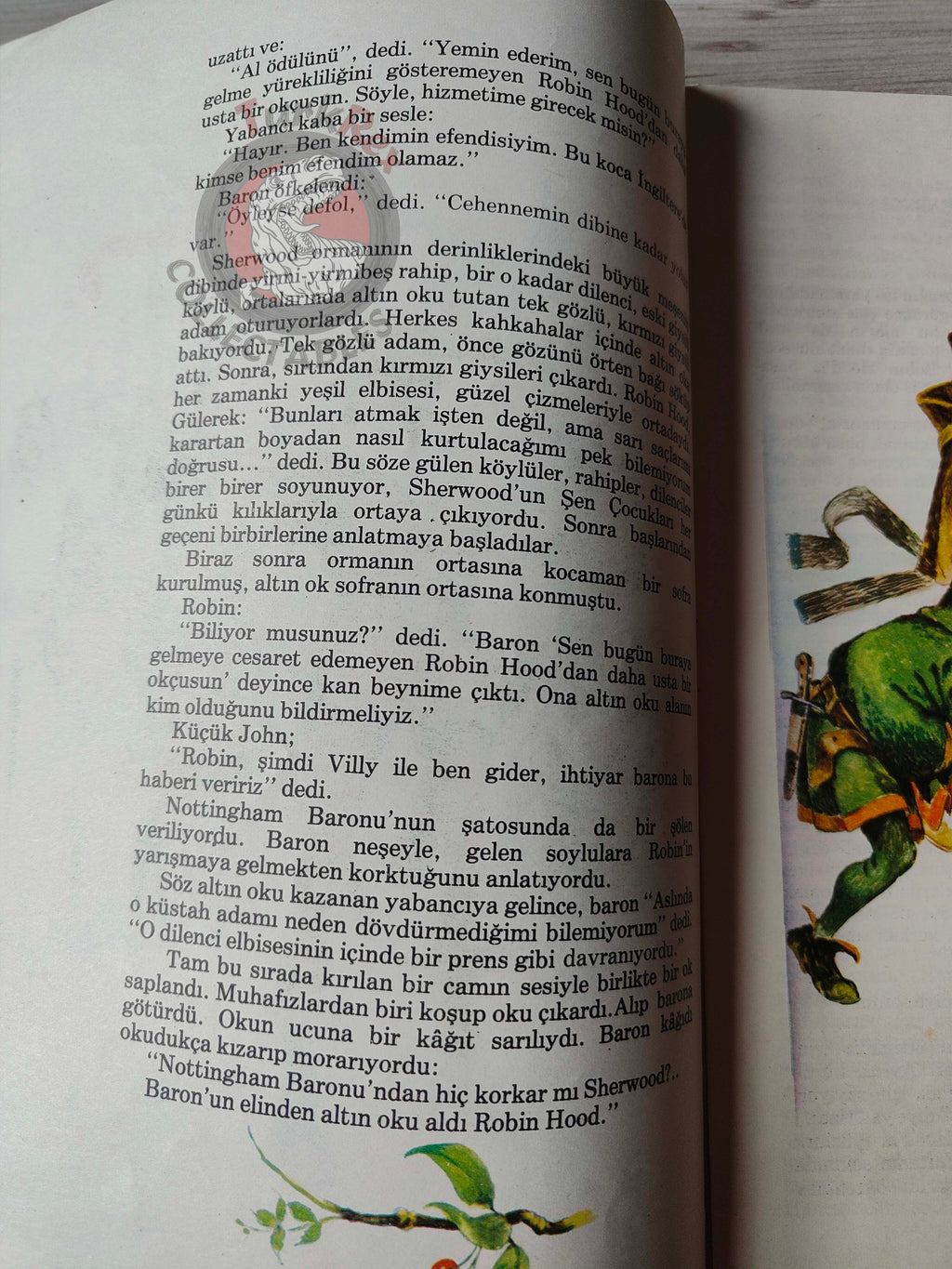 Robin Hood – Howard Pyle 1983 Turkish Book Turkey Illustrated