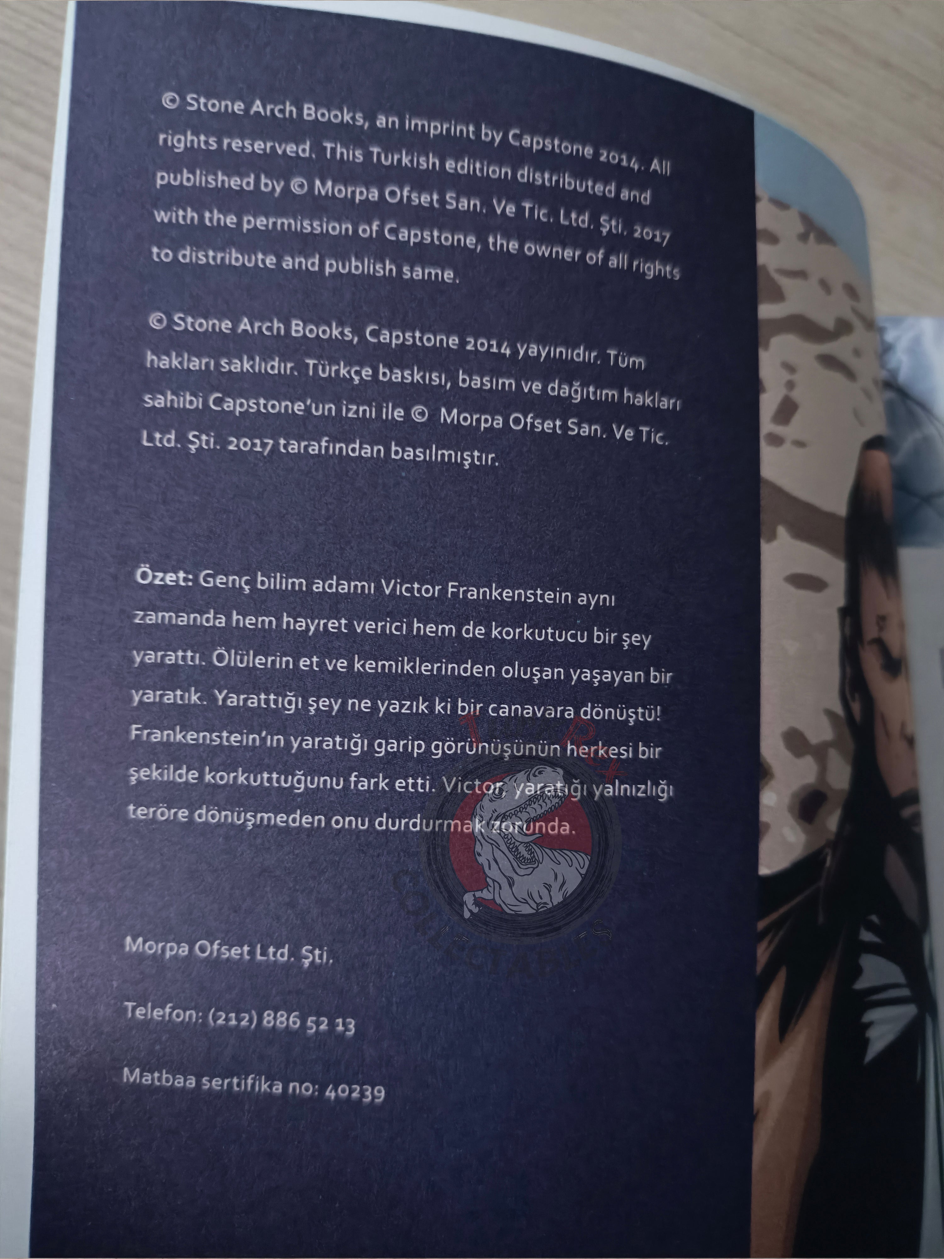 Frankenstein by Mary Shelley Turkish Comic Turkey Stone Arch Books