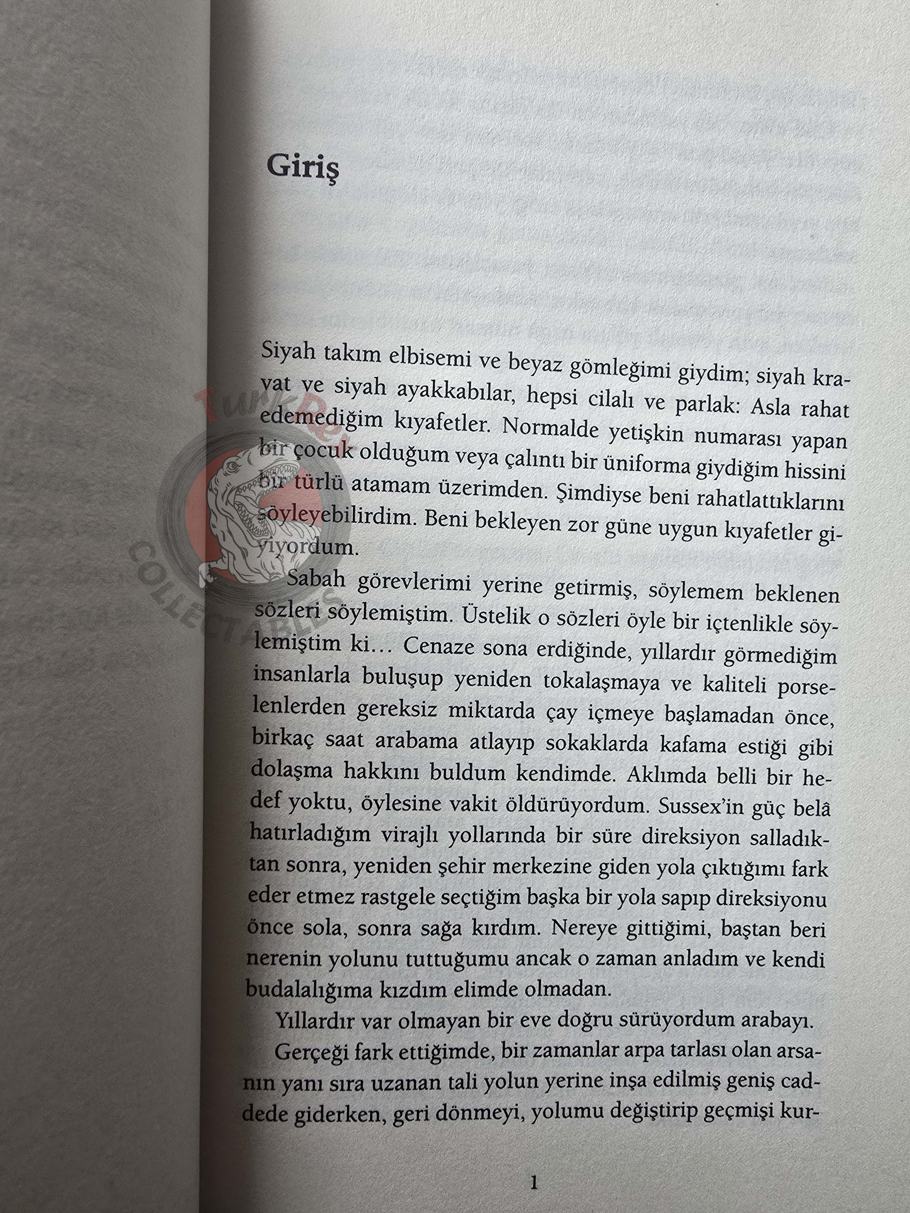 Neil Gaiman – The Ocean At The End Of The Lane 2016 Turkish Book Turkey