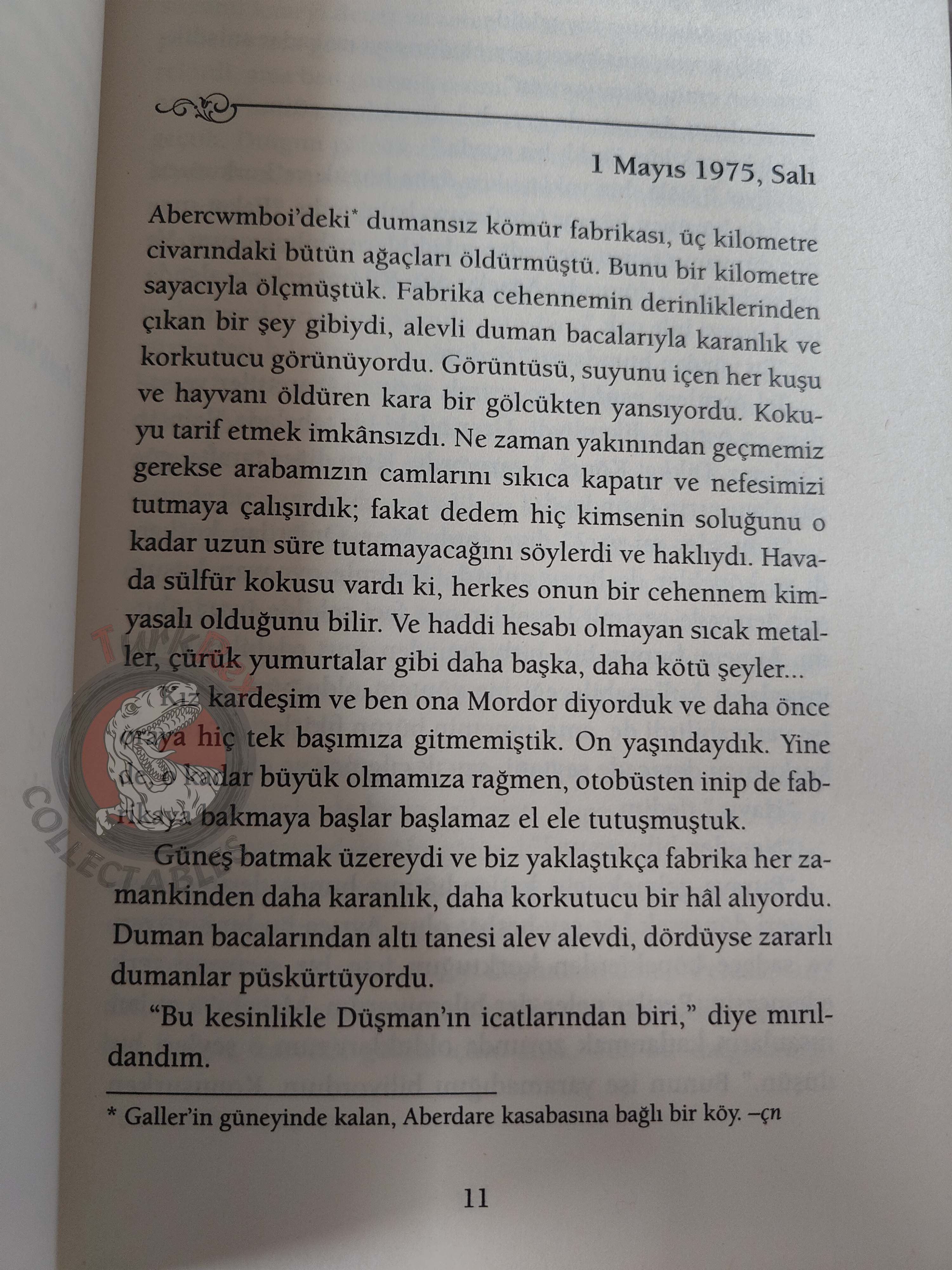 Jo Walton – Among Others 2013 Turkish Book Turkey