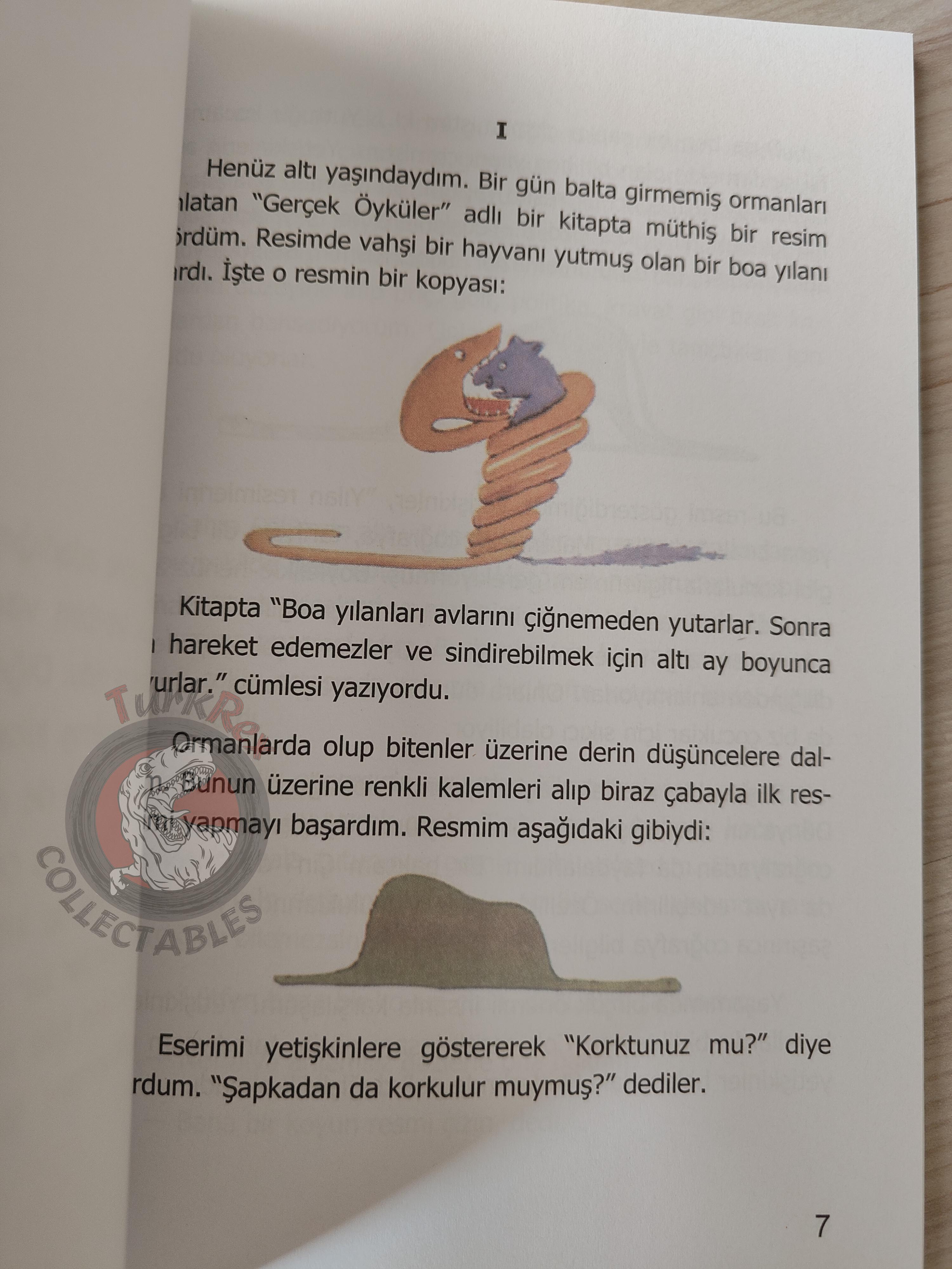 Antoine de Saint-Exupéry – Le Petit Prince 2012 Turkish Book Turkey Illustrated Little