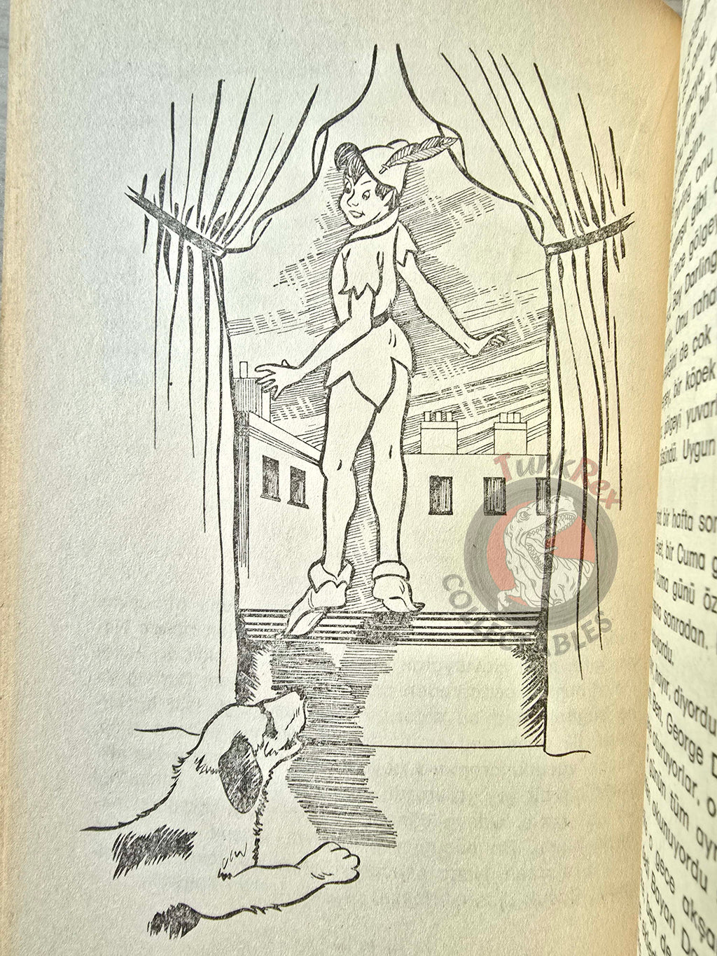 J. M. Barrie – Peter Pan 1976 Turkish Book Turkey Illustrated