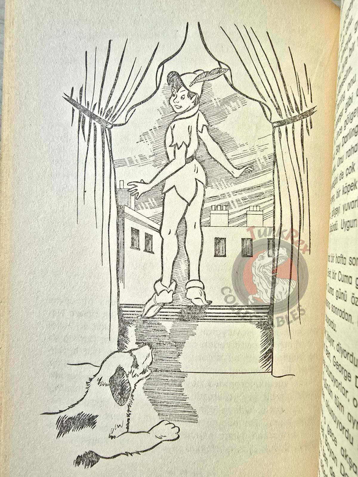 J. M. Barrie – Peter Pan 1976 Turkish Book Turkey Illustrated
