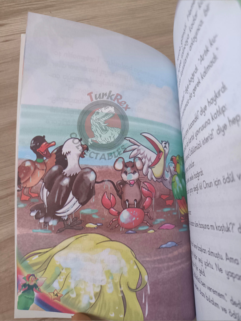 Lewis Carroll – Alice in Wonderland 2010 Turkish Book Turkey Illustrated 2
