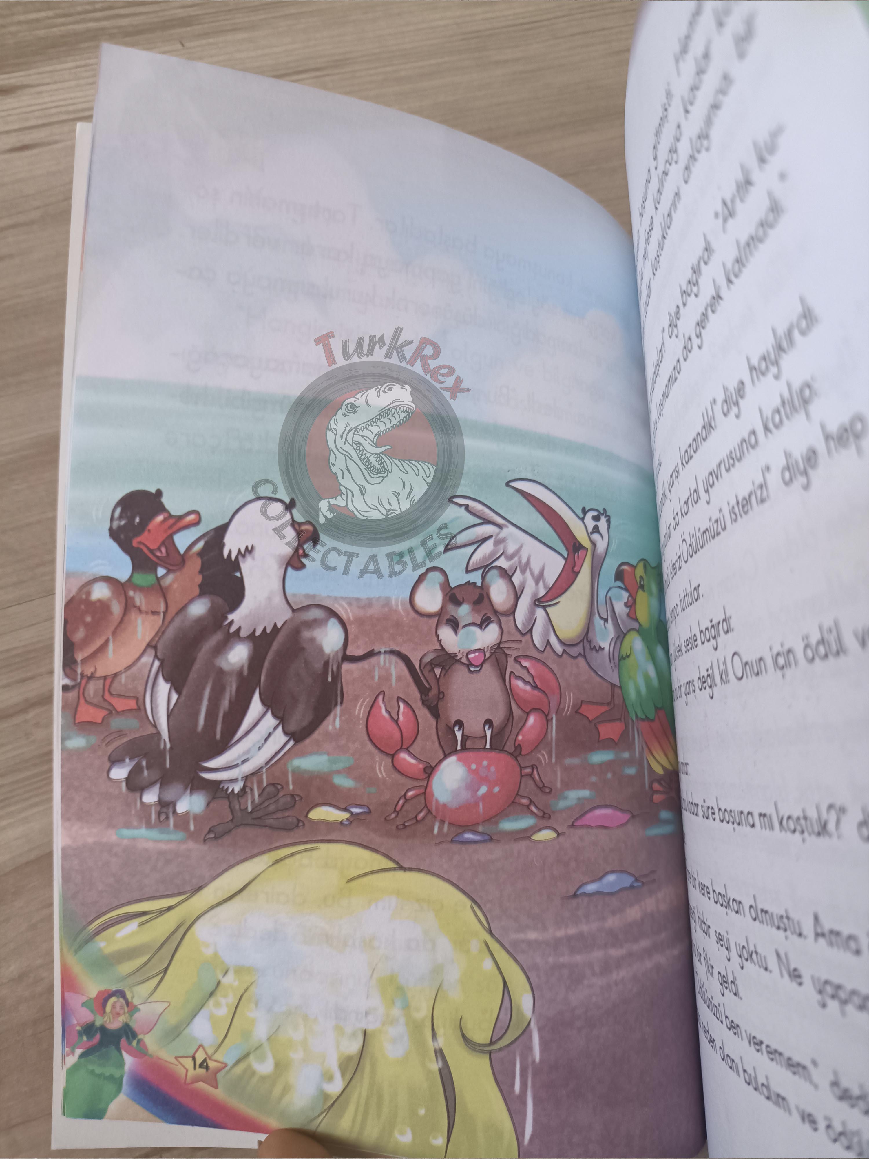 Lewis Carroll – Alice in Wonderland 2010 Turkish Book Turkey Illustrated 2