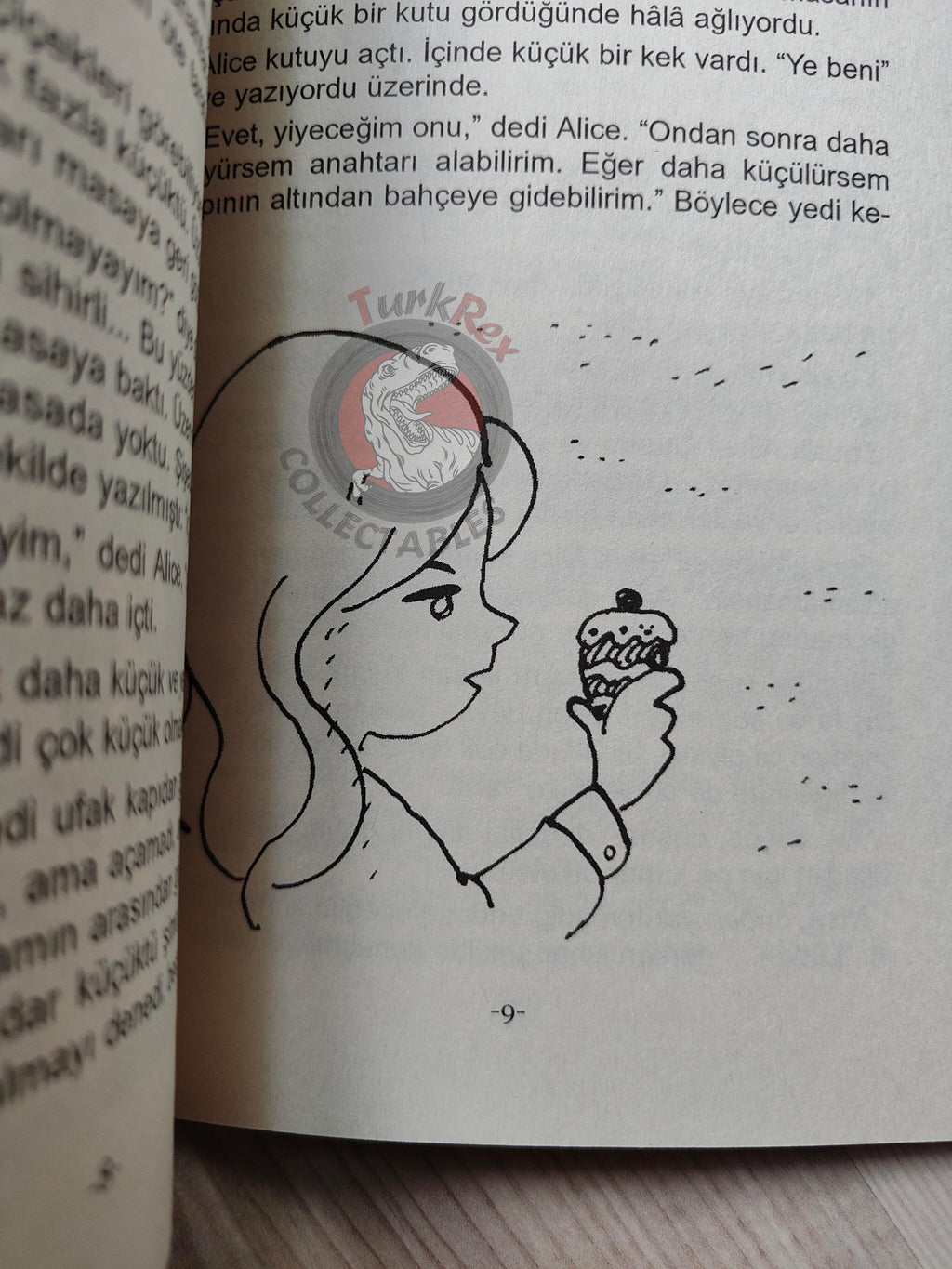 Lewis Carroll – Alice in Wonderland 2011 Turkish Book Turkey Illustrated 3