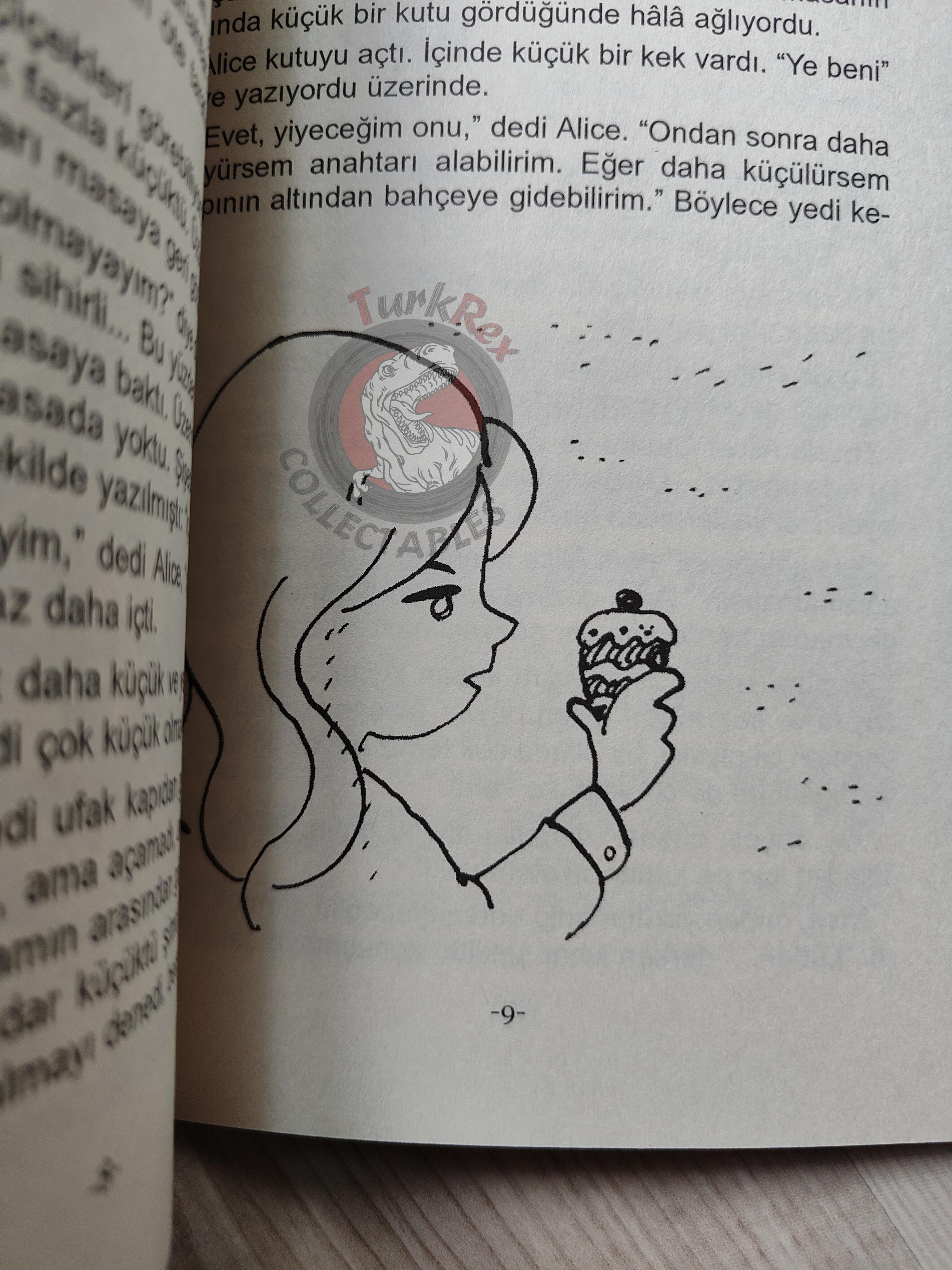 Lewis Carroll – Alice in Wonderland 2011 Turkish Book Turkey Illustrated 3