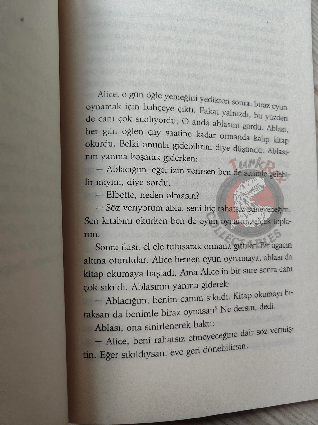 Lewis Carroll – Alice in Wonderland 2011 Turkish Book Turkey 1