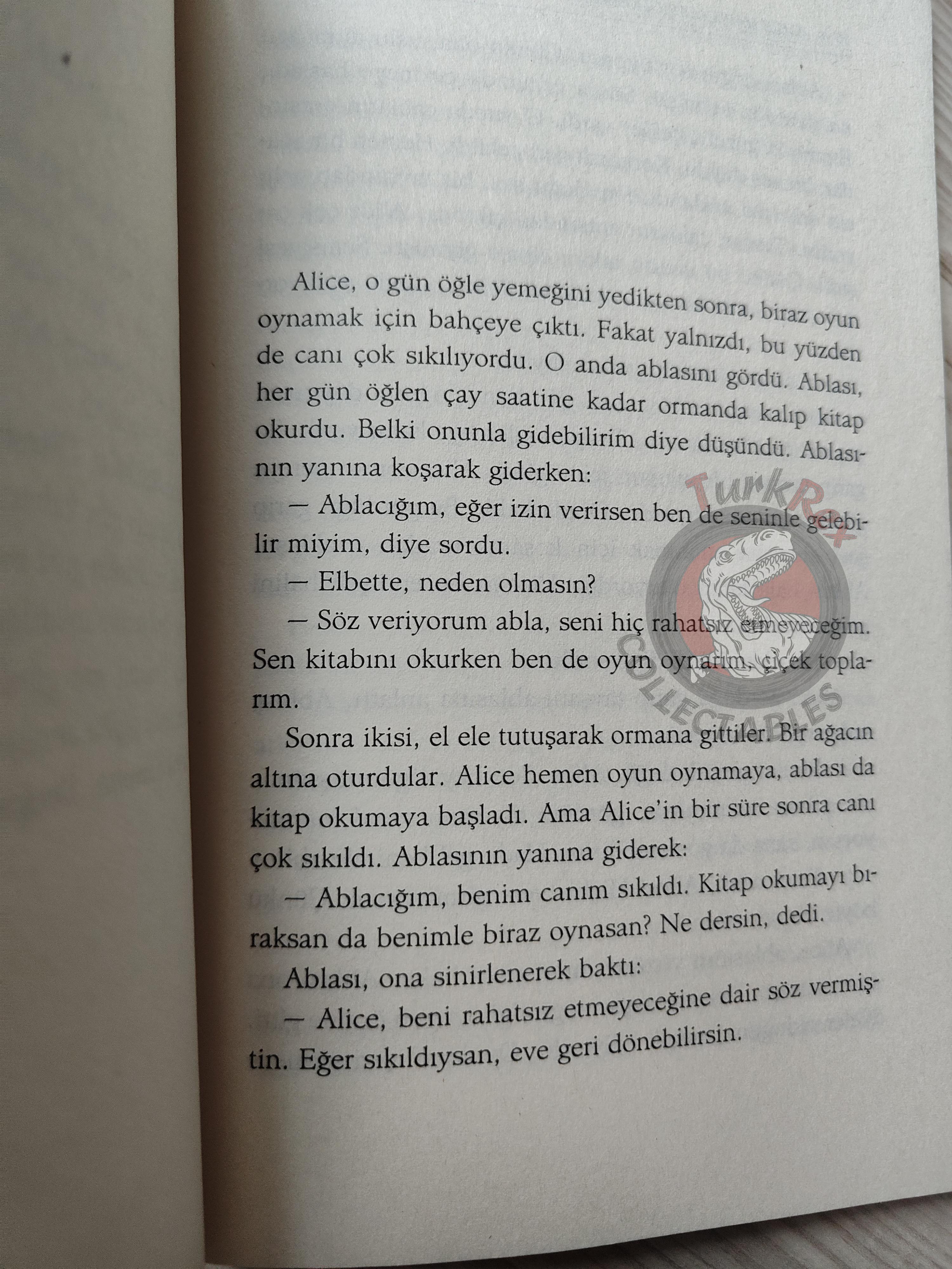 Lewis Carroll – Alice in Wonderland 2011 Turkish Book Turkey 1