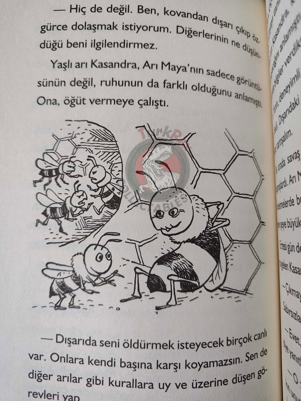 Waldemar Bonsels – Maya the Bee 2013 Turkish Book Turkey Illustrated