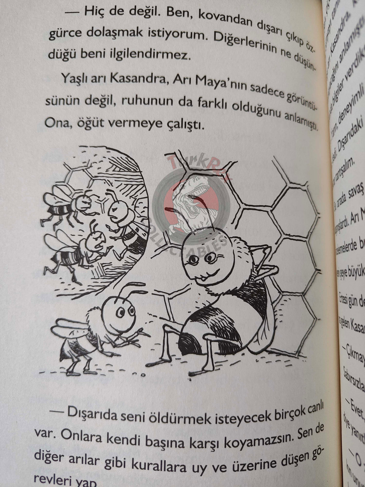 Waldemar Bonsels – Maya the Bee 2013 Turkish Book Turkey Illustrated