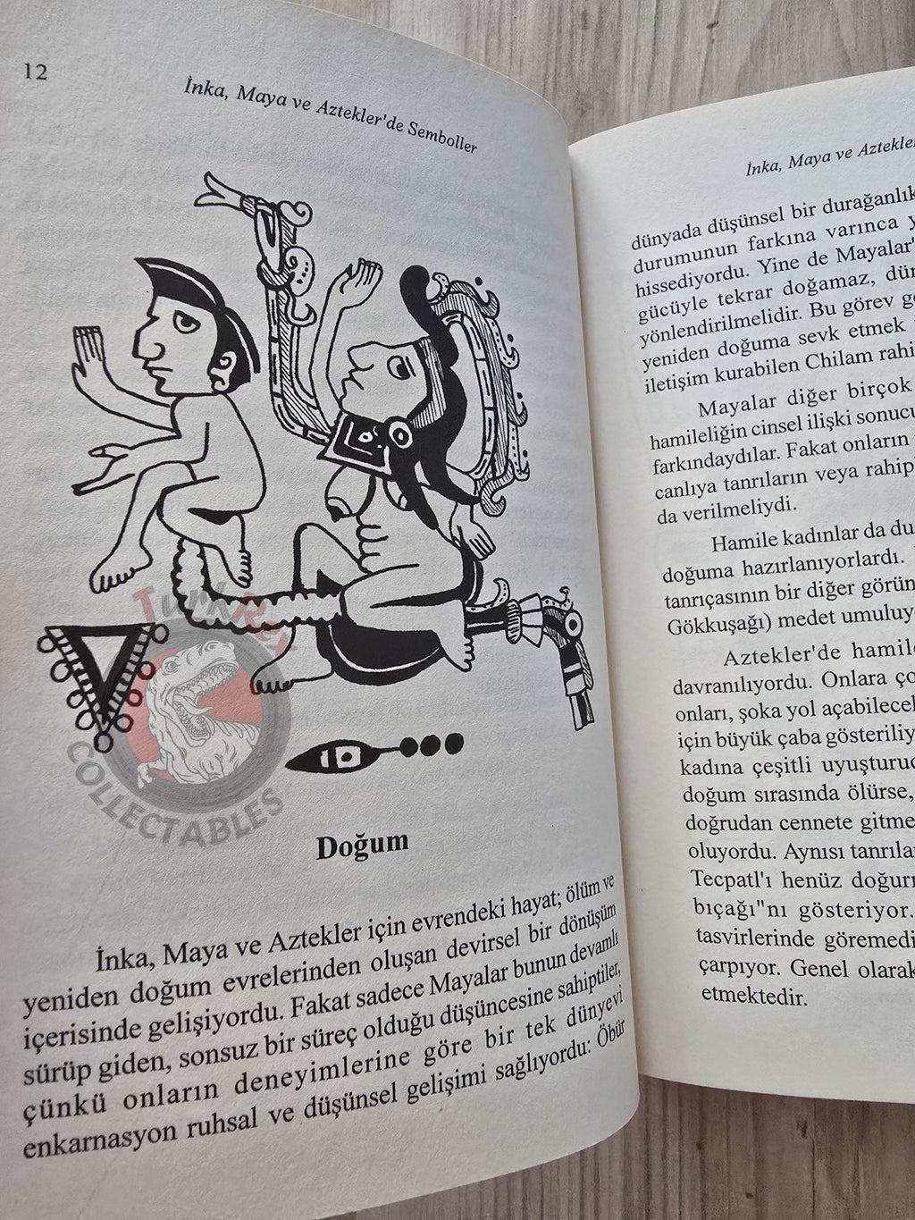 Heike Owusu – Symbols of Native America 2004 Turkish Book Turkey