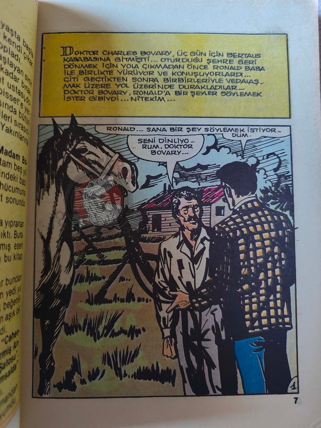 Madame Bovary – Gustave Flaubert Turkish Comic Turkey Classics Illustrated