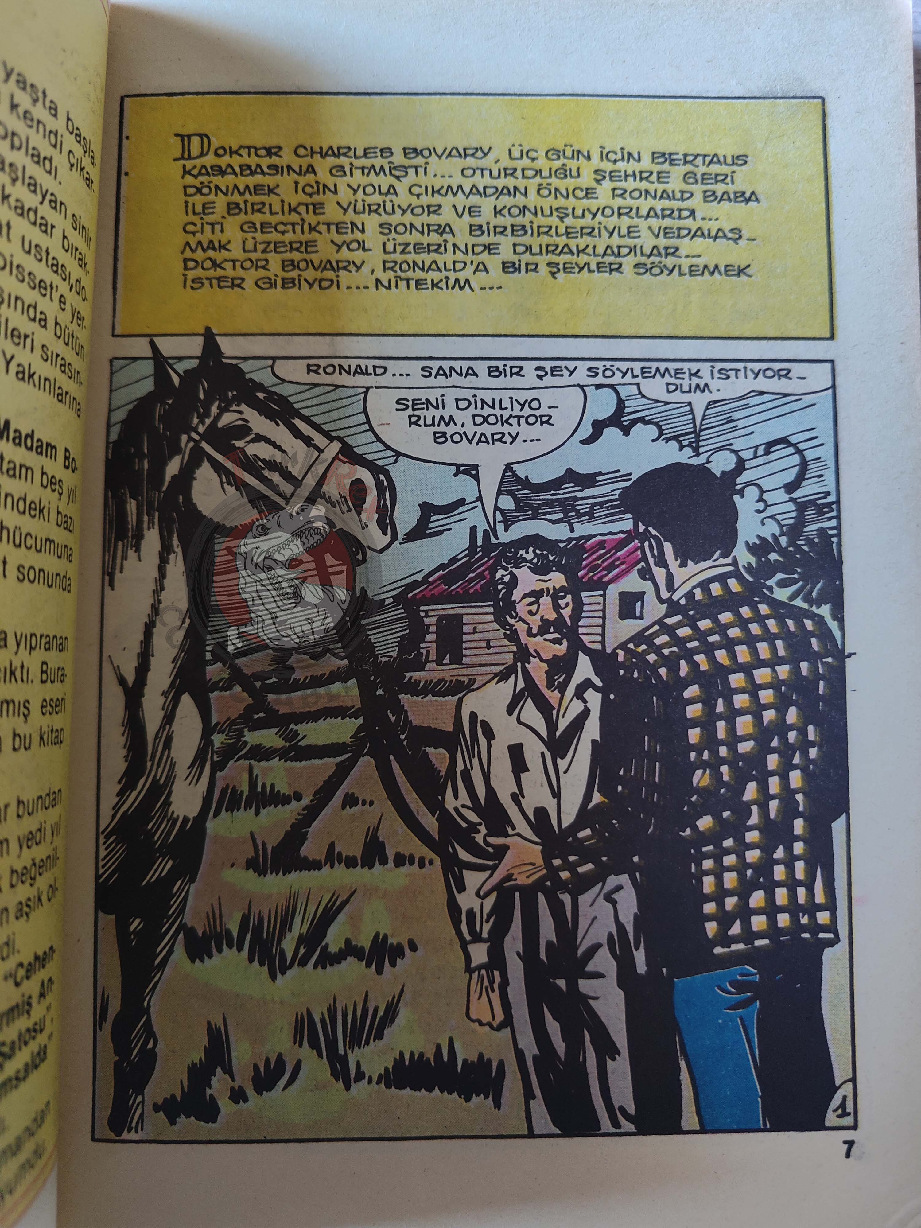 Madame Bovary – Gustave Flaubert Turkish Comic Turkey Classics Illustrated