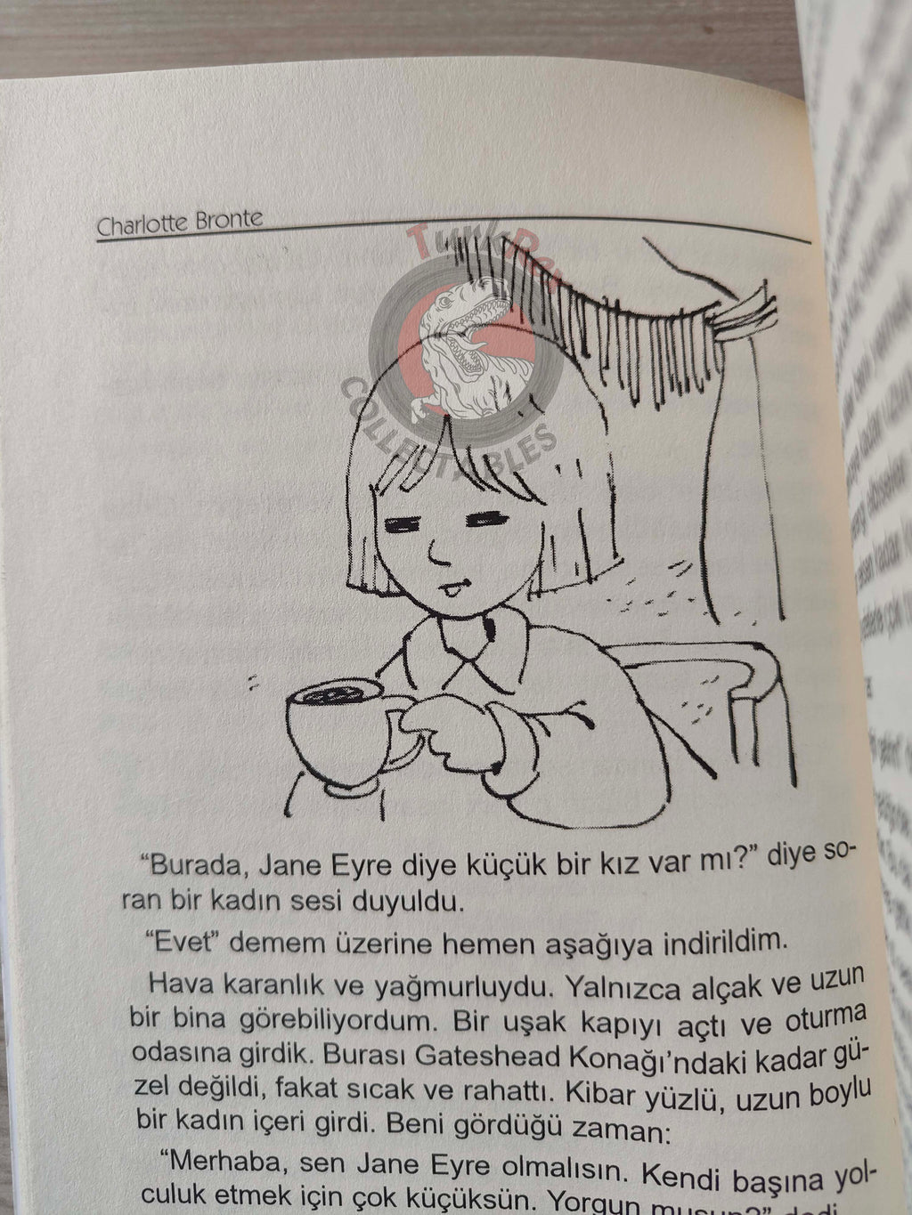 Charlotte Brontë – Jane Eyre 2011 Turkish Book Turkey Illustrated