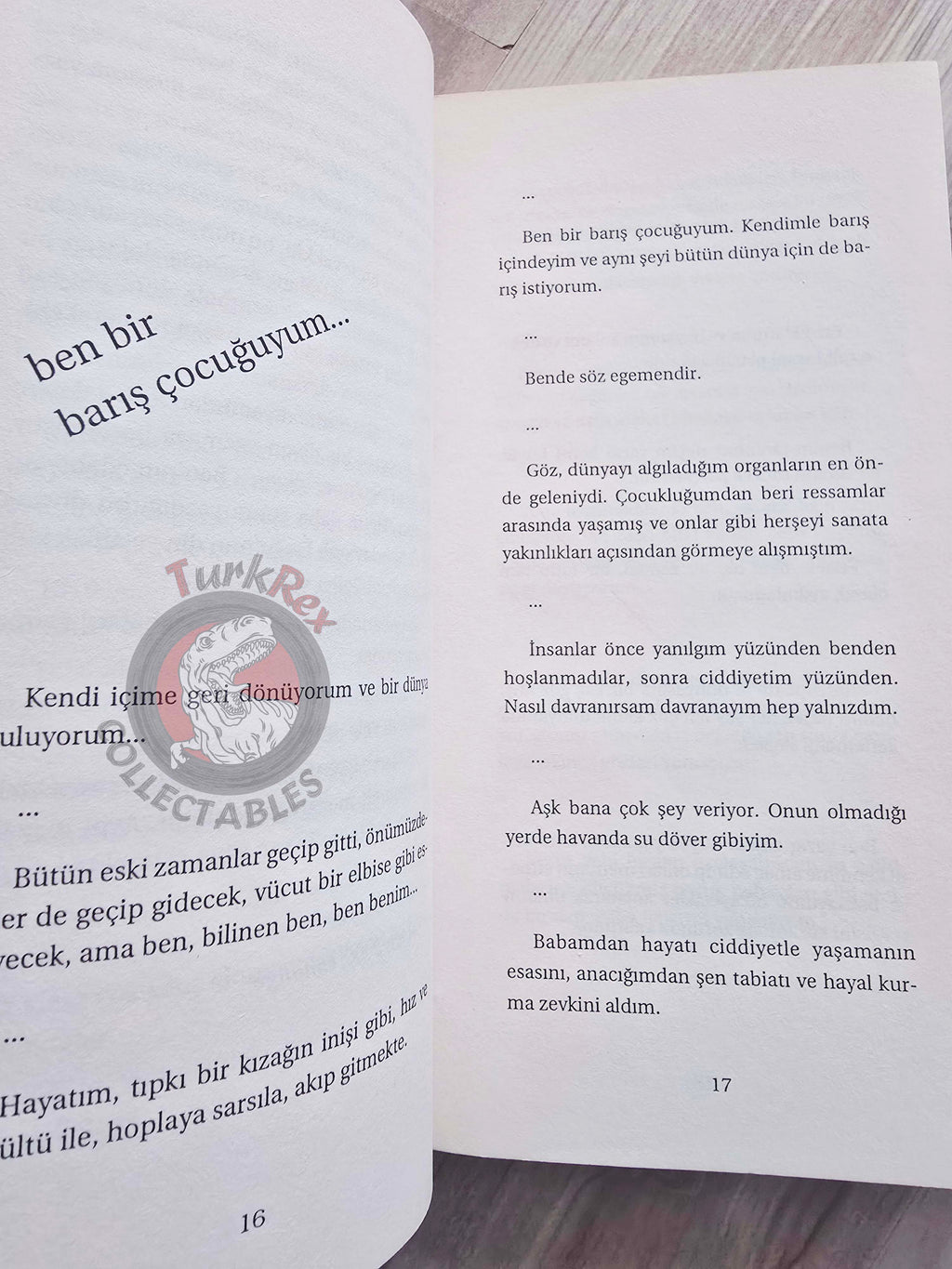 Goethe – Goethe's Thoughts That Touch The Soul 2006 Turkish Book Turkey