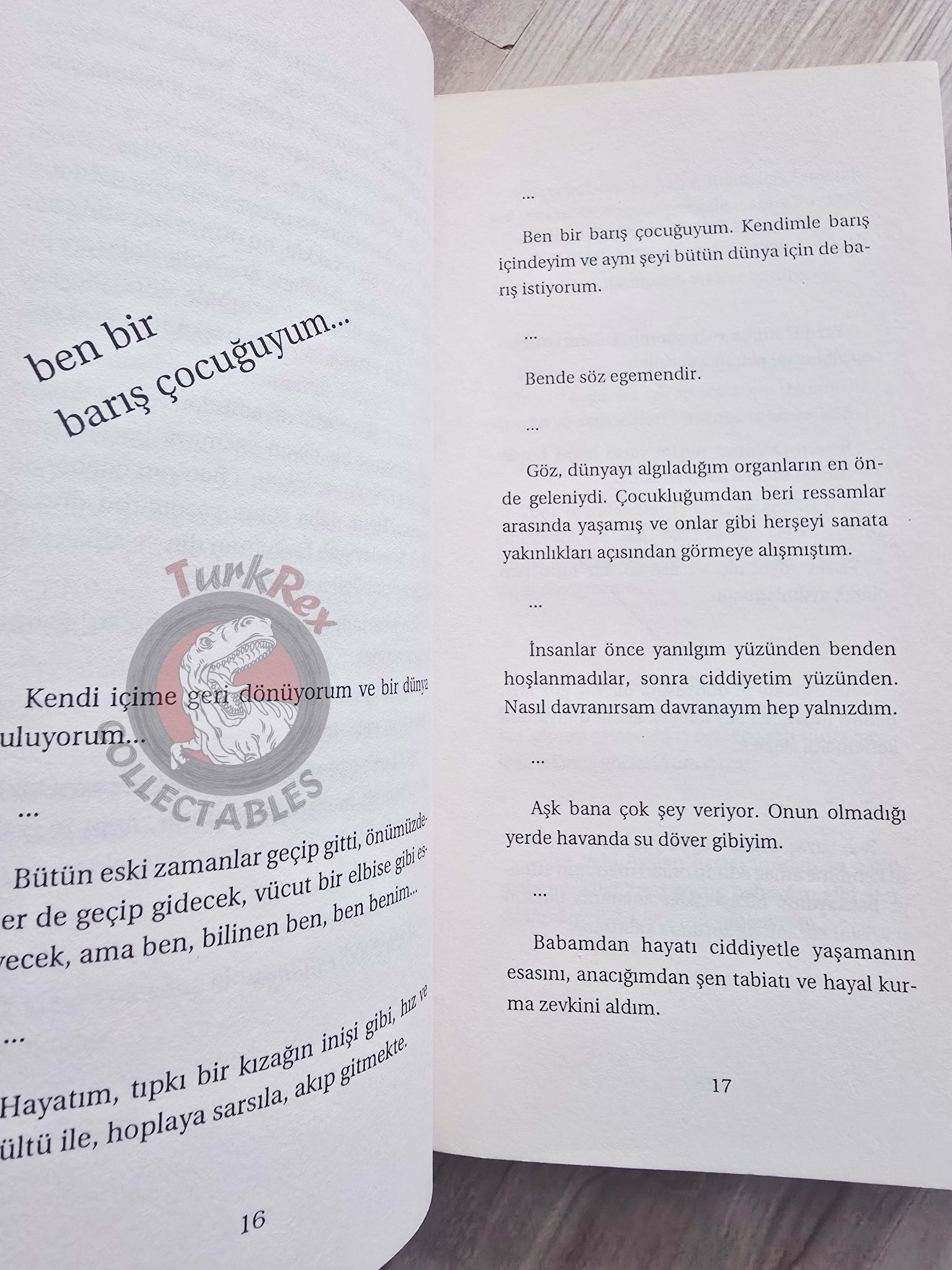 Goethe – Goethe's Thoughts That Touch The Soul 2006 Turkish Book Turkey