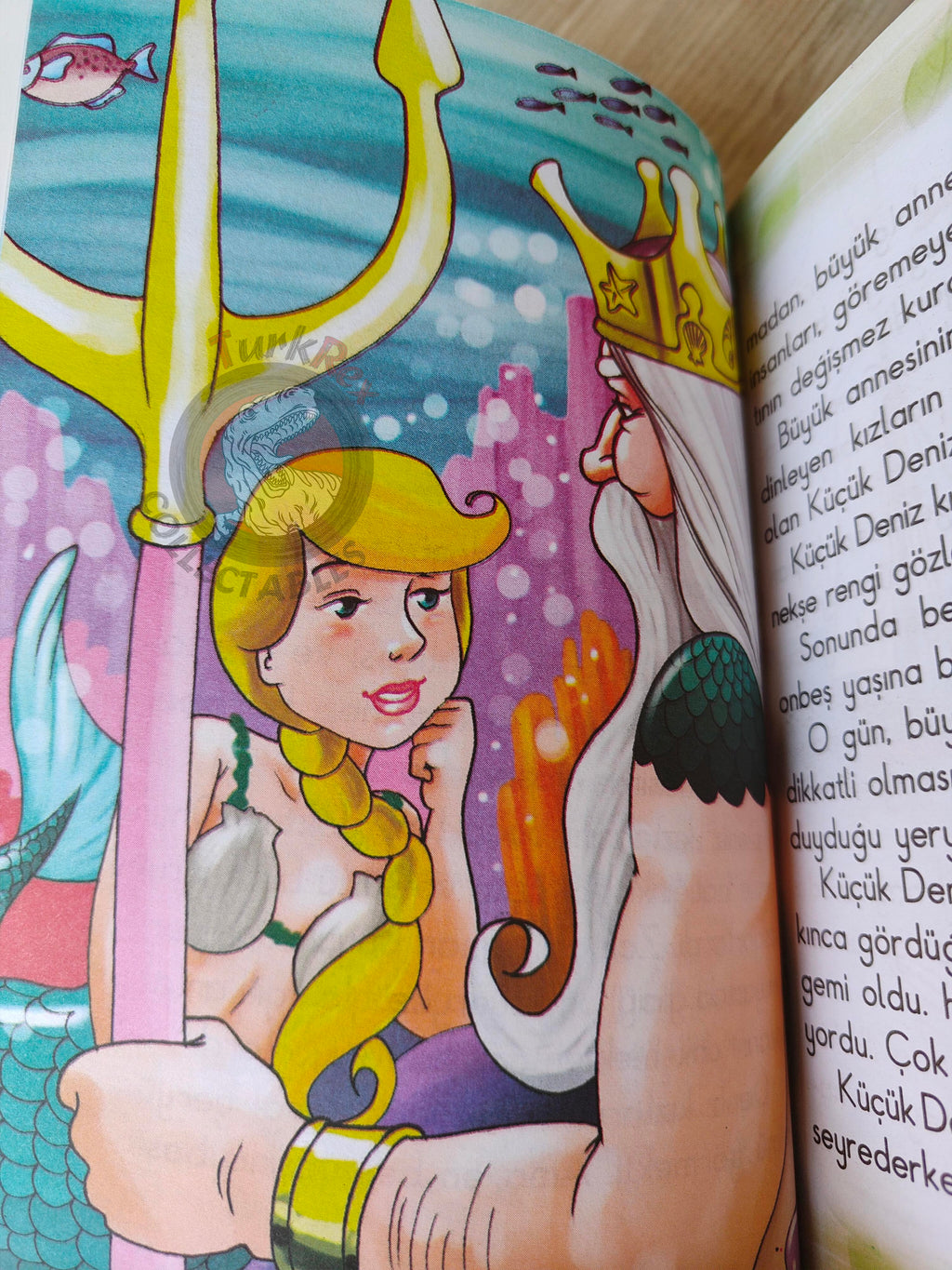 Hans Christian Andersen – The Little Mermaid 2010 Turkish Book Turkey Illustrated 2
