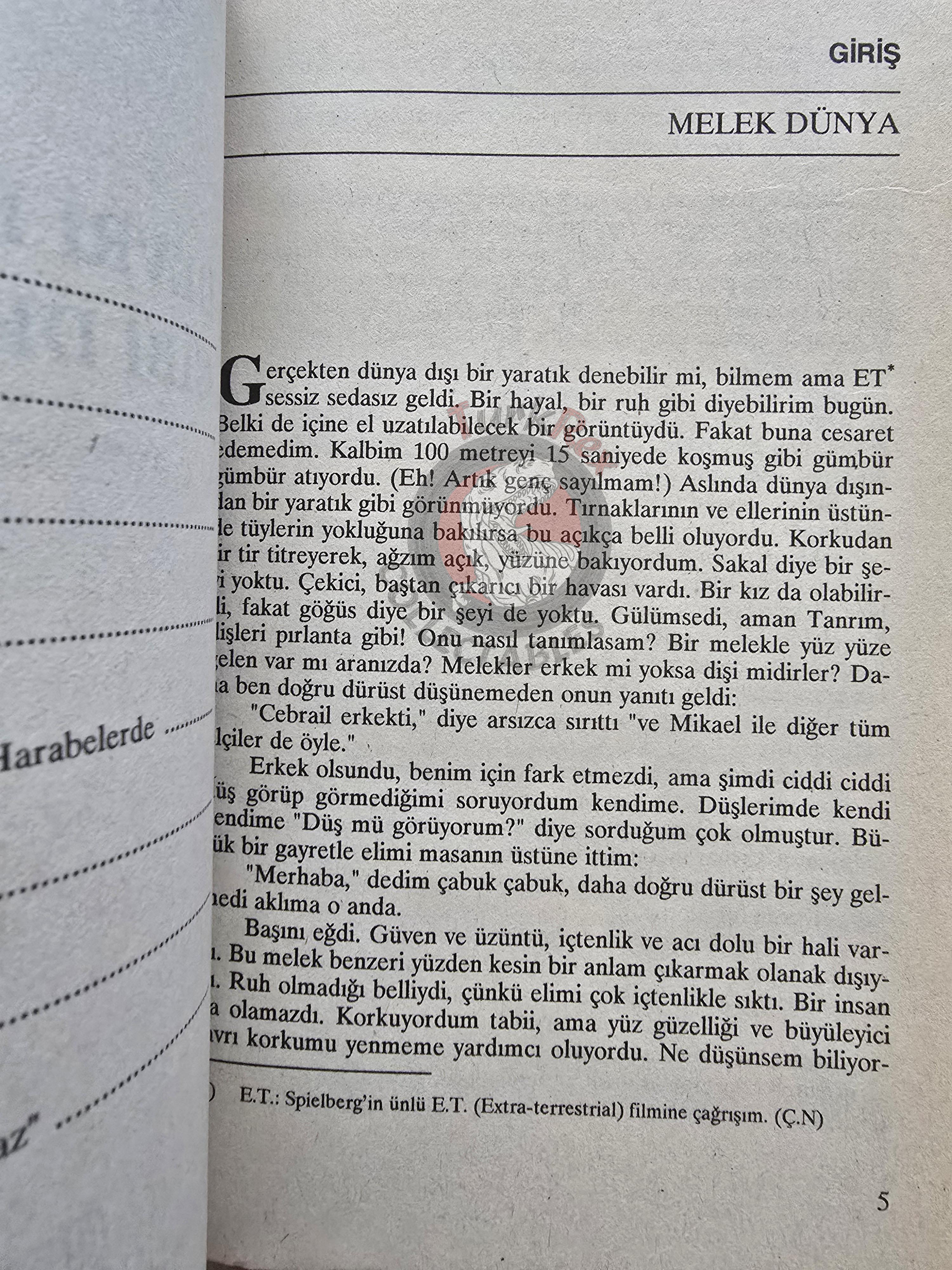 Erich von Däniken –  The Stone Age Was Totally Different 1993 Turkish Book Turkey Ufology