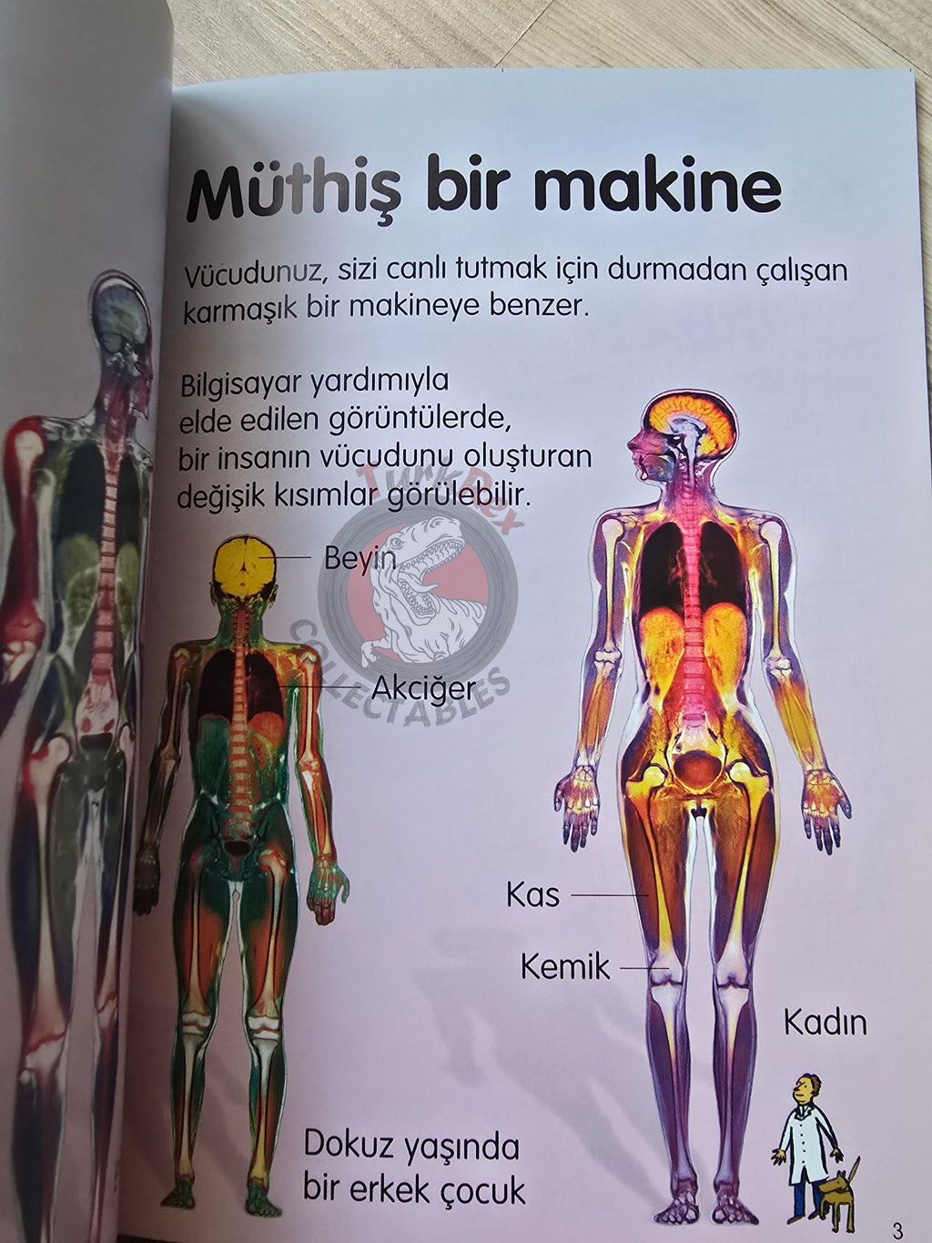 Stephanie Turnbull – Your Body 2008 Turkish Book Turkey