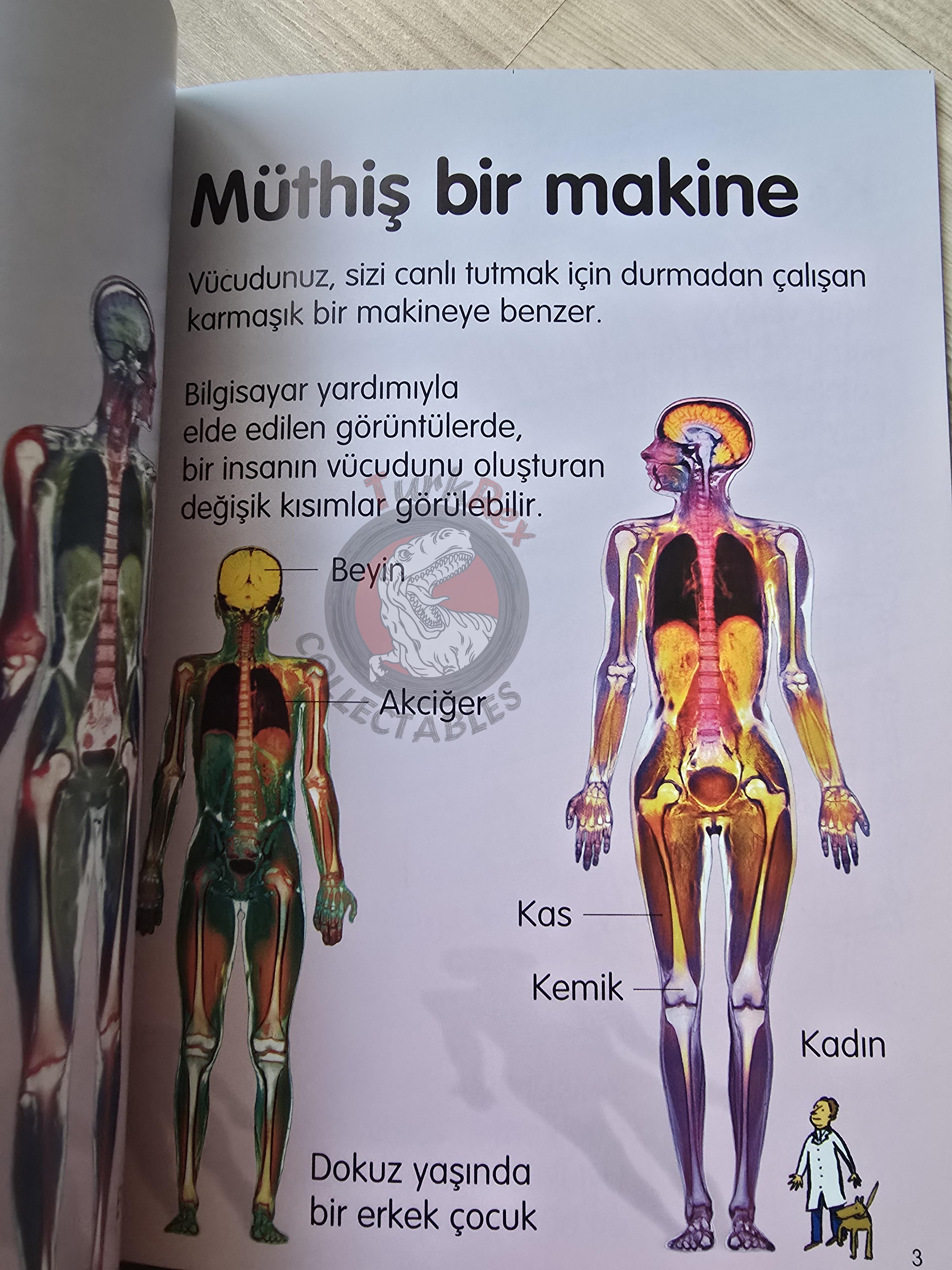 Stephanie Turnbull – Your Body 2008 Turkish Book Turkey