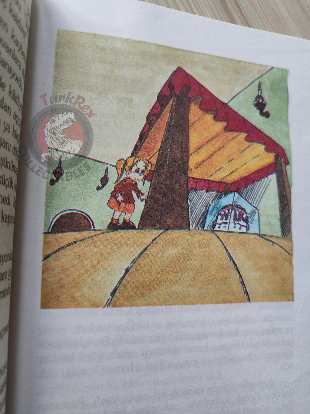 Lewis Carroll – Alice in Wonderland 1996 Turkish Book Turkey Illustrated