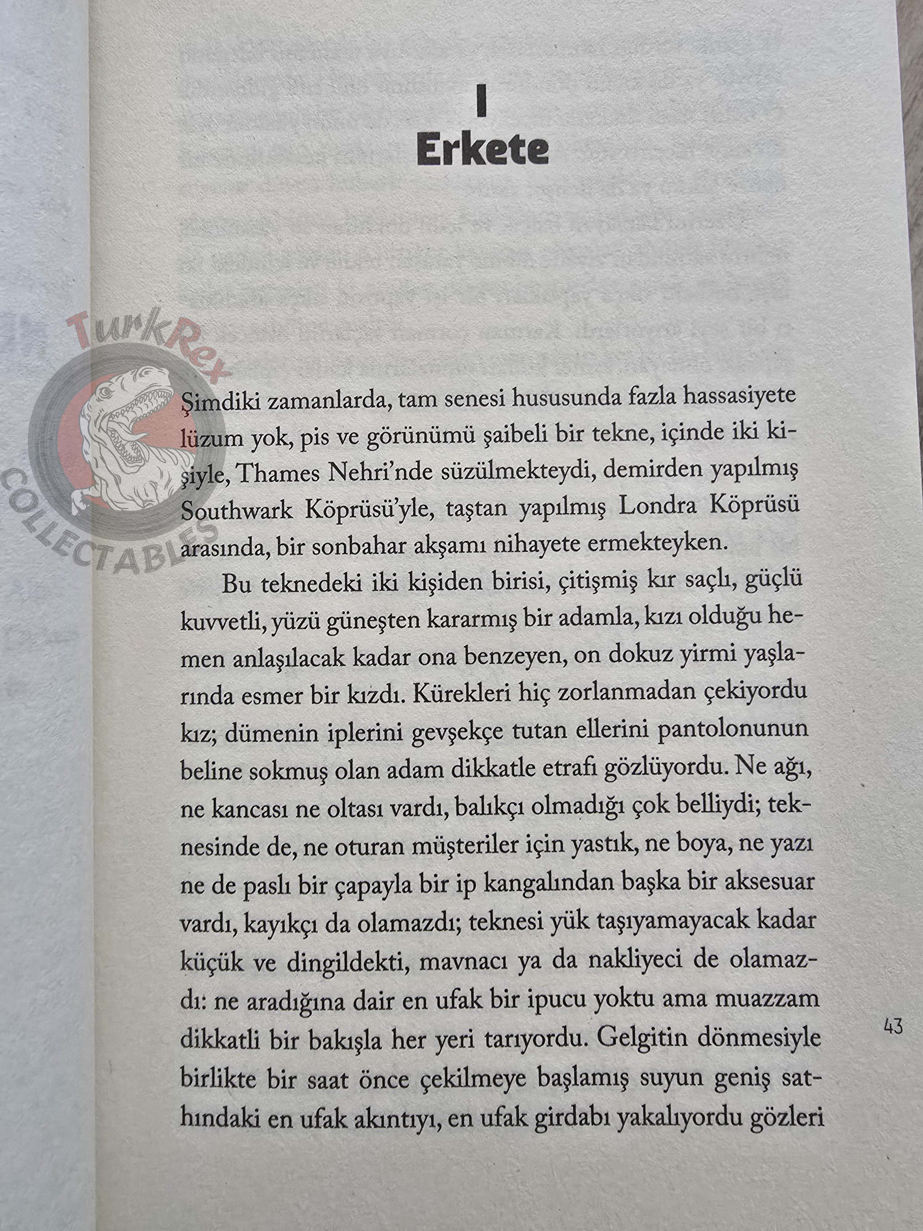 Charles Dickens – Our Mutual Friend 2017 Turkish Book Turkey